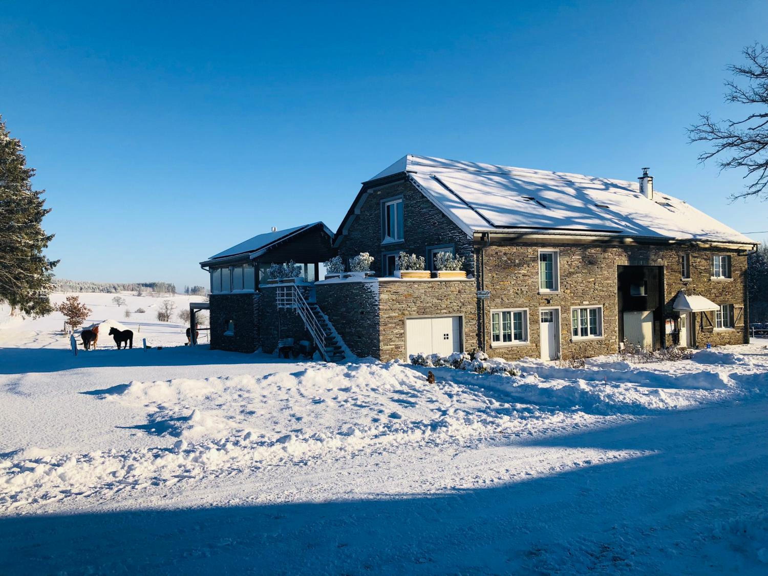 B&B Pegasus II - Chambre familiale de luxe avec sauna privatif et coin repas