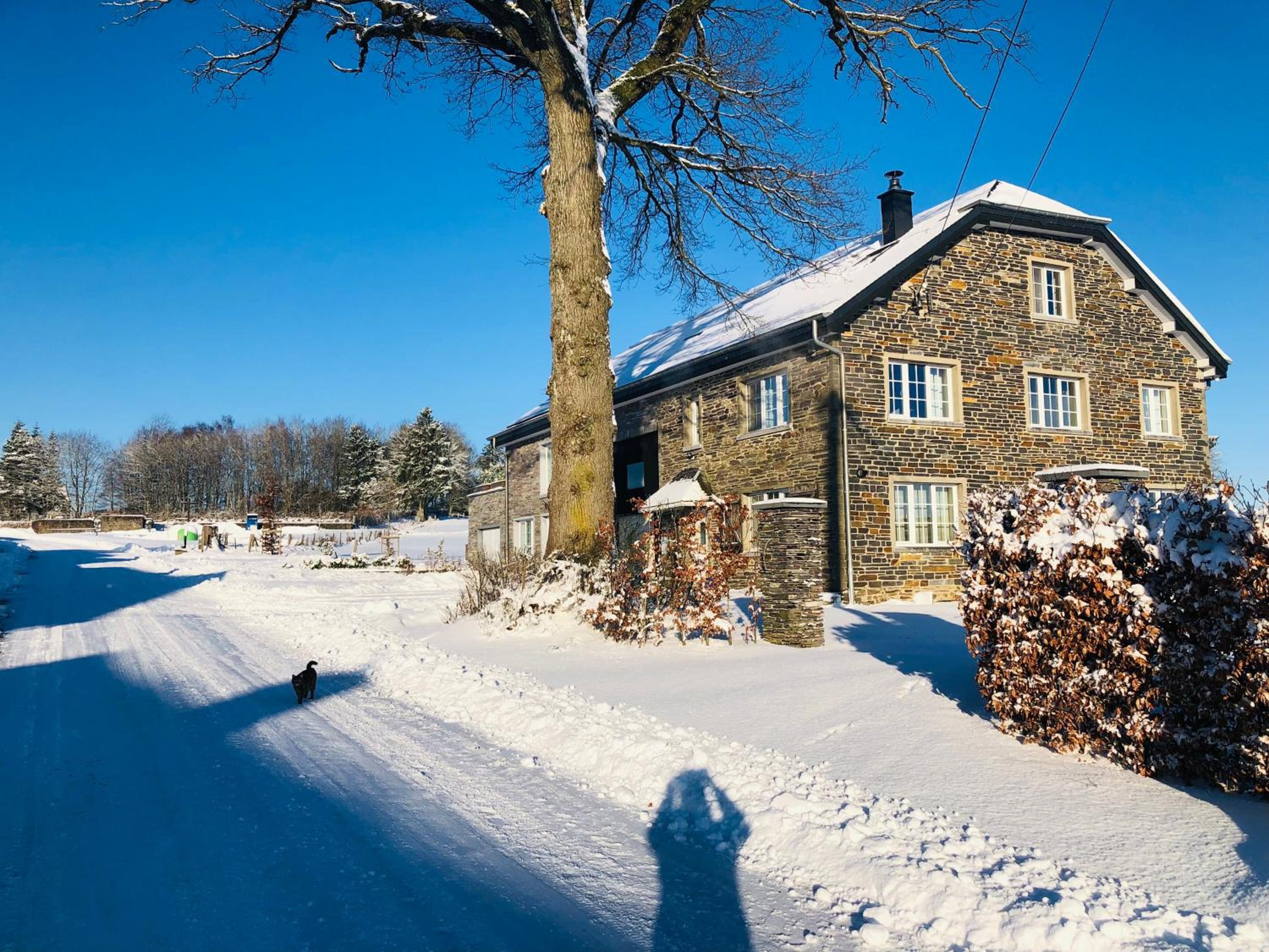 B&B Pegasus II - Chambre familiale de luxe avec sauna privatif et coin repas