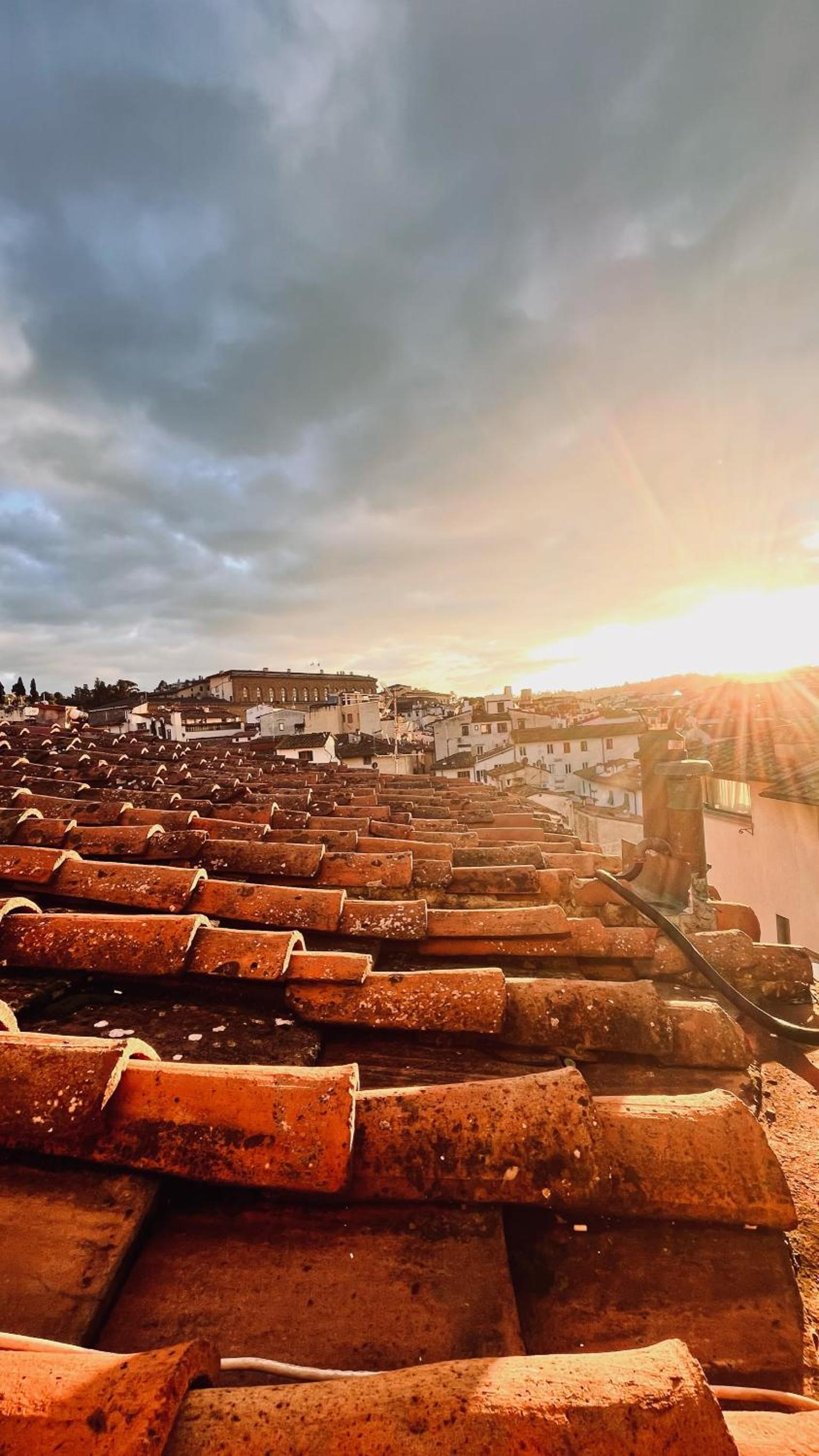 roof