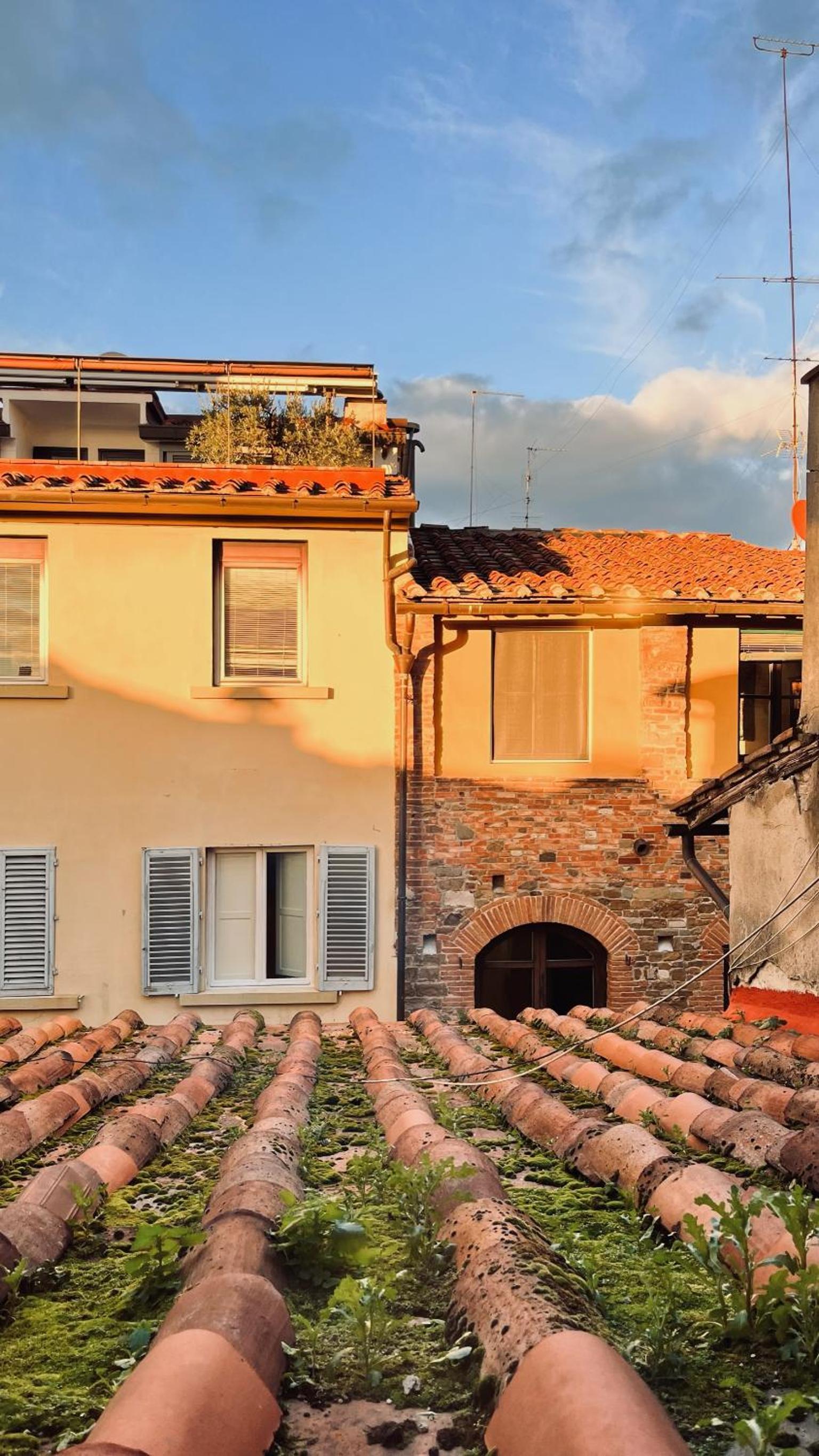 roof