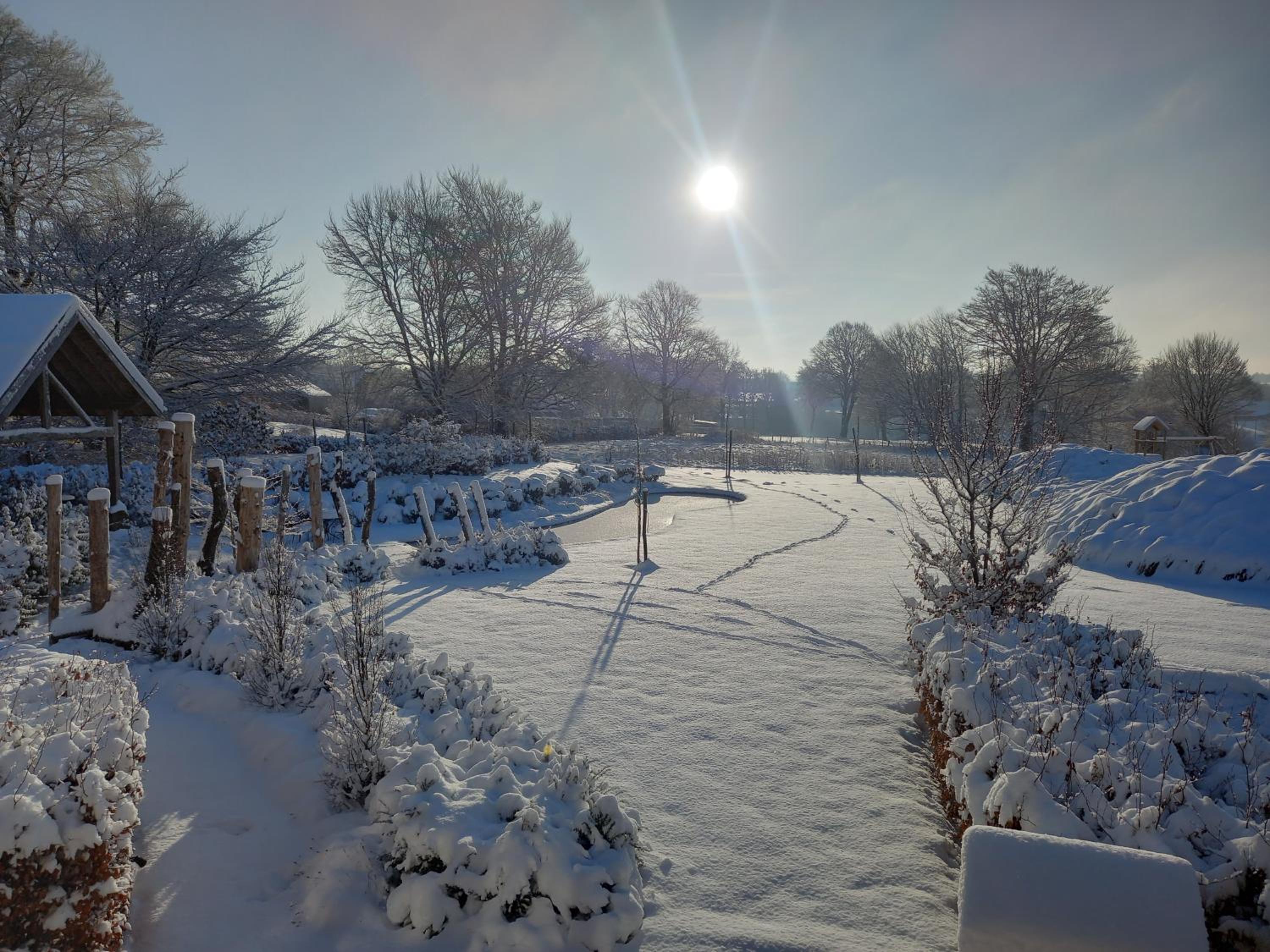Le jardin des fagnes
