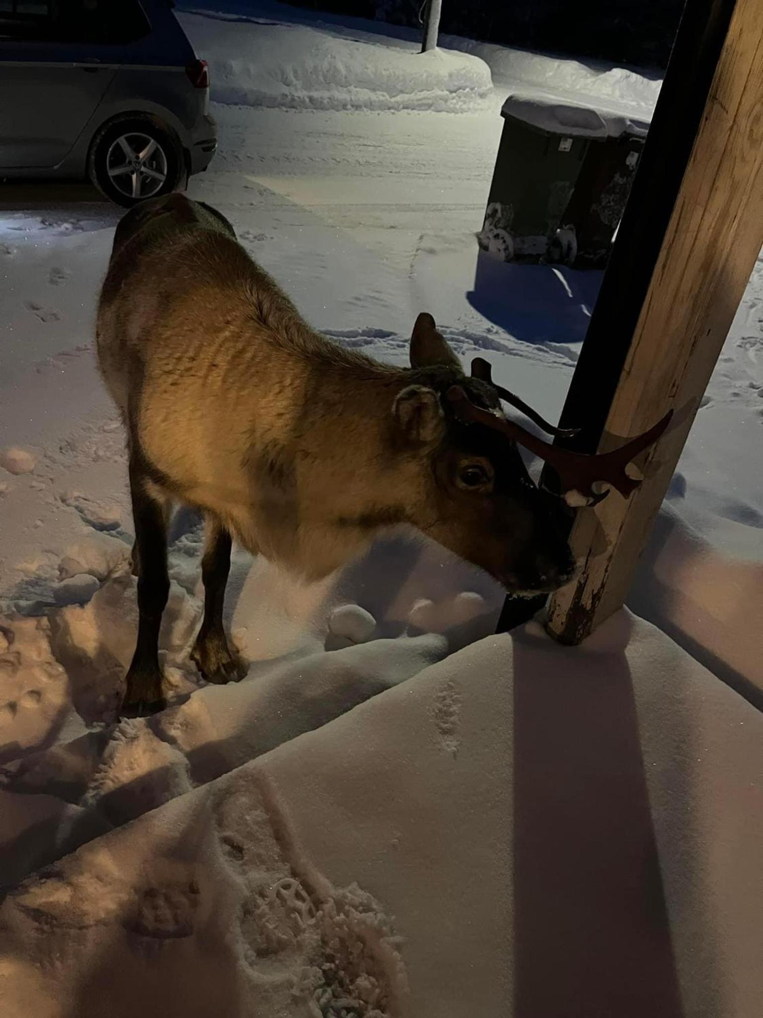 Holmsel
