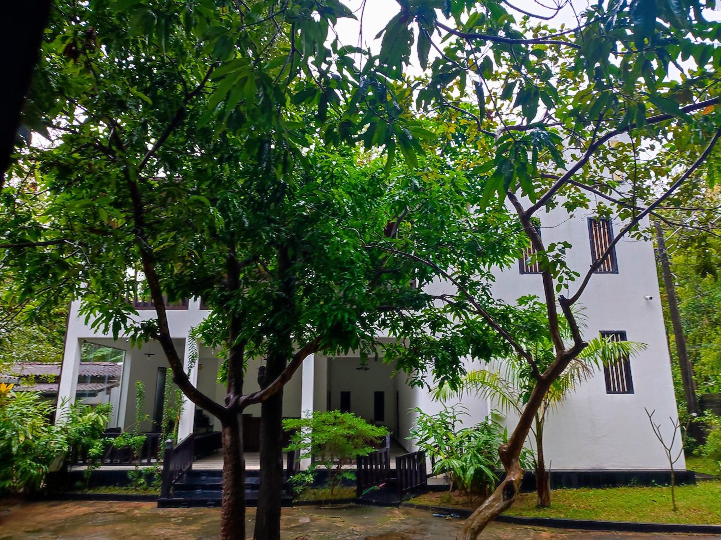 Photo 66