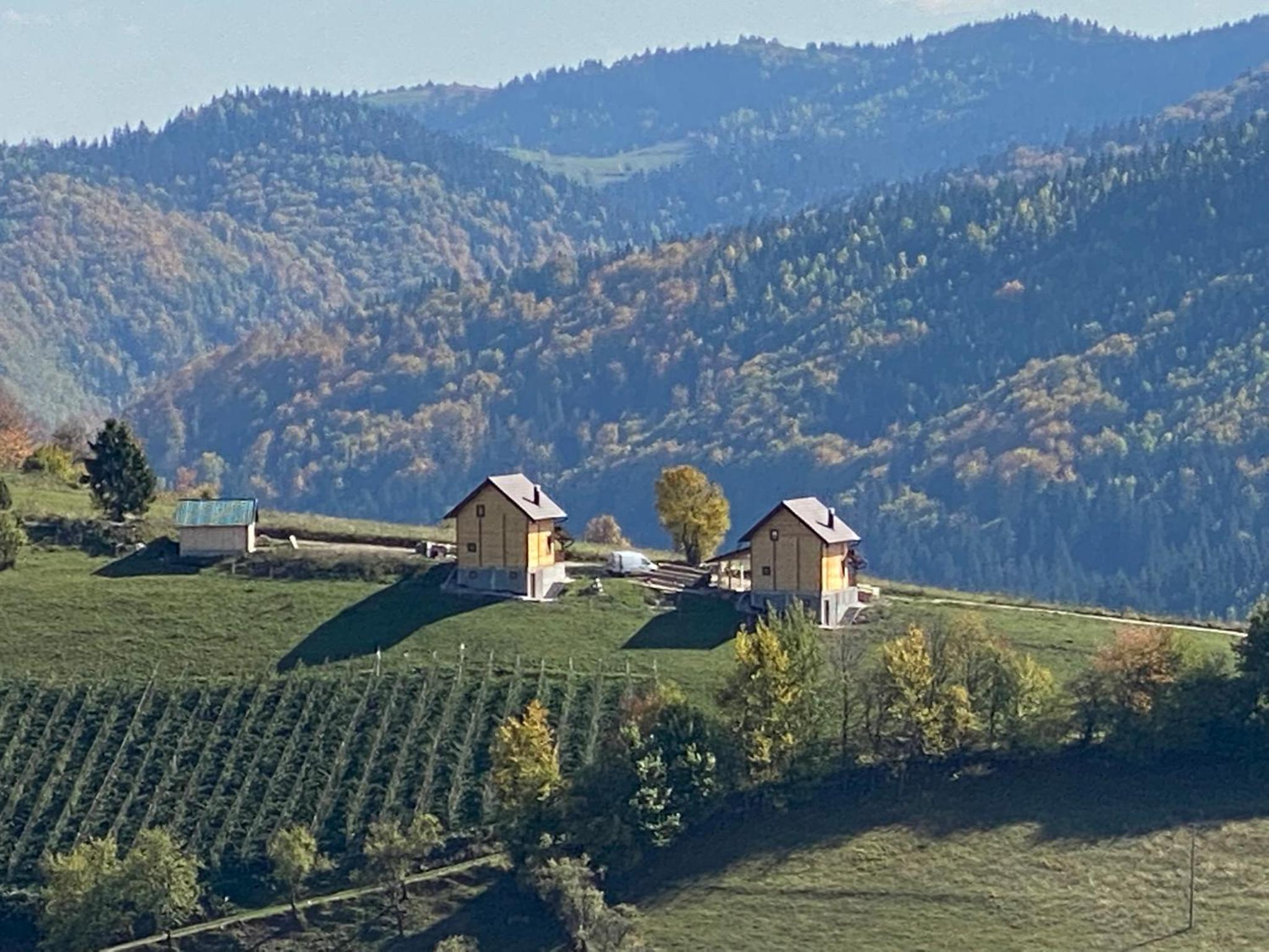 Zlatar Lake Hill view 5