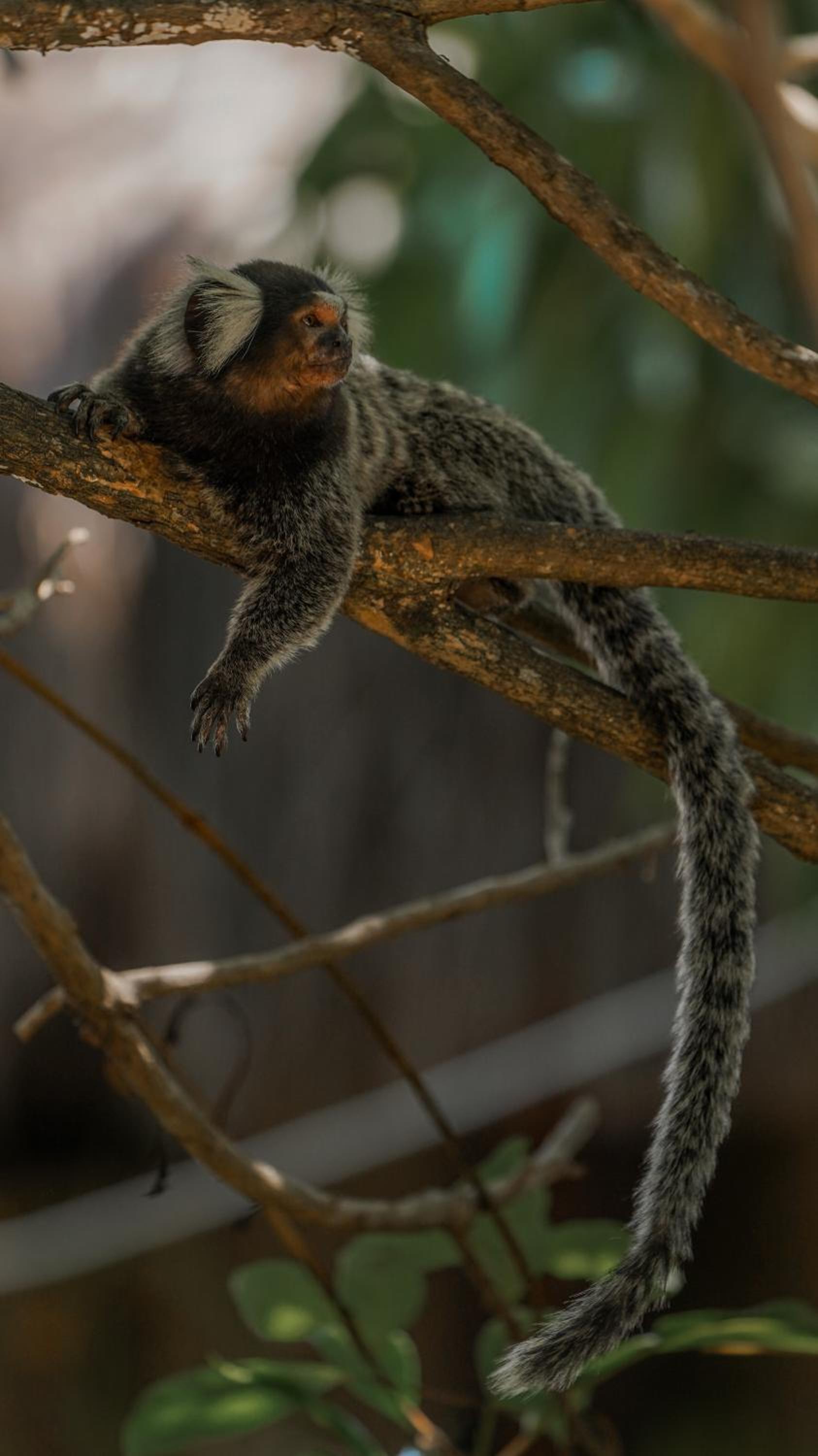Pousada Morada dos Ventos