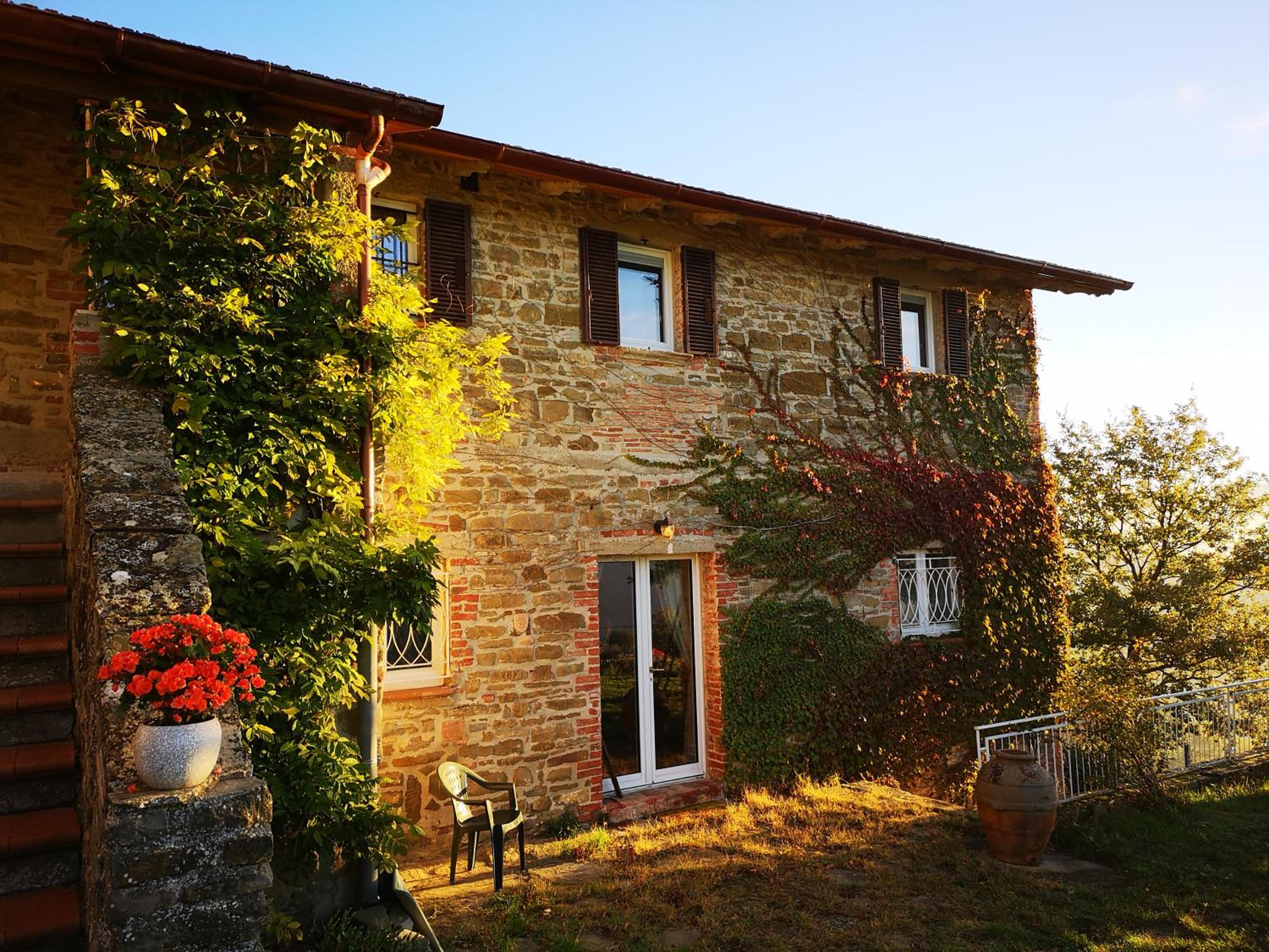 Il canto dell'asino