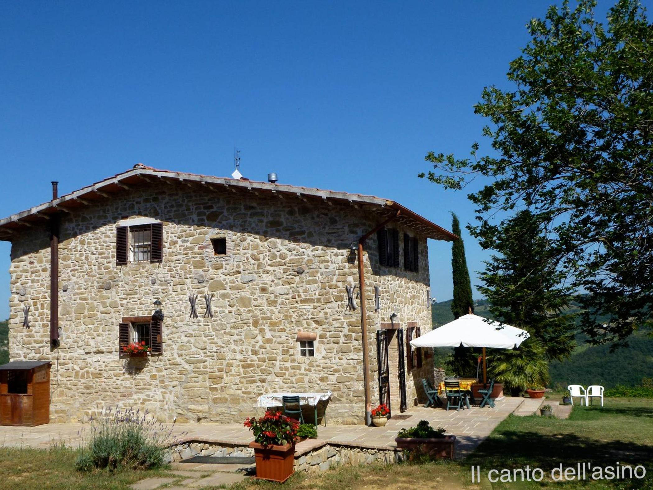 Il canto dell'asino