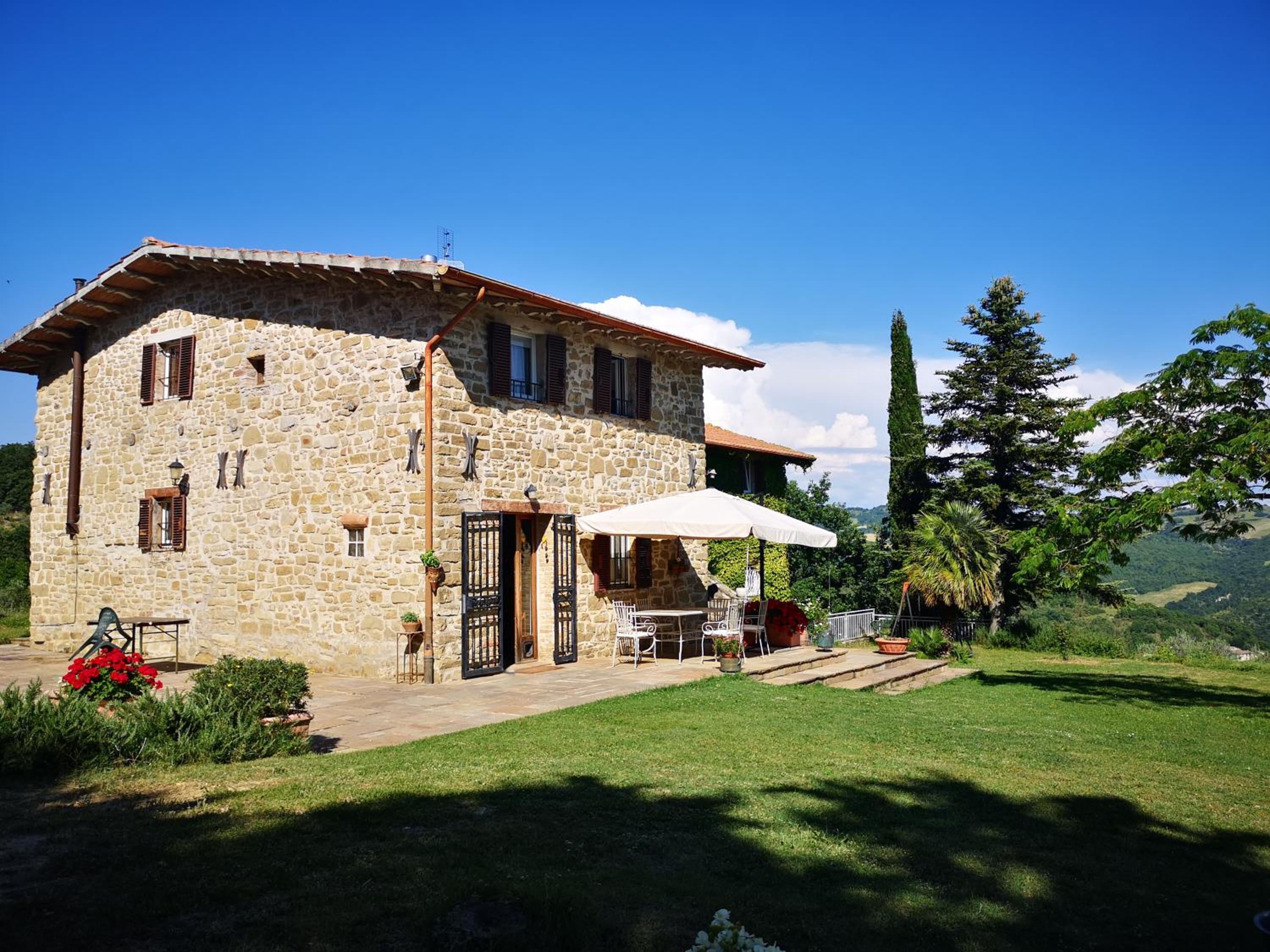 Il canto dell'asino