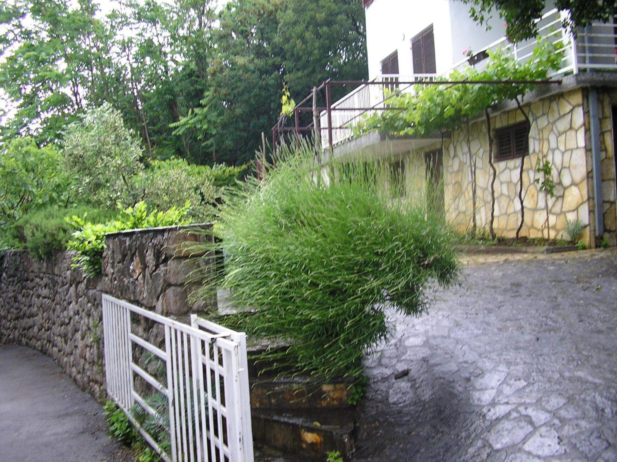 Apartment Bilić