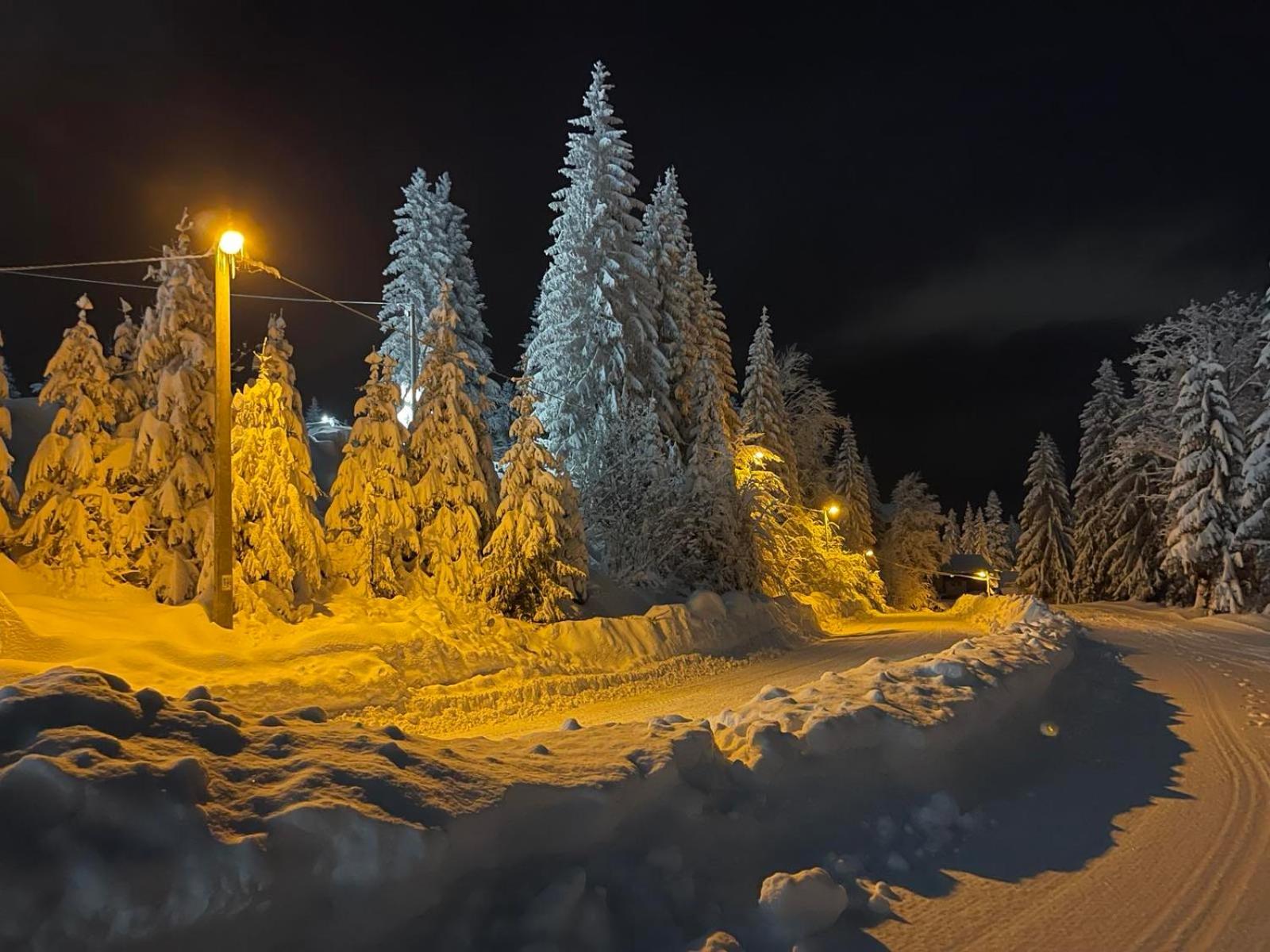 Apartment Lothlórien Jahorina
