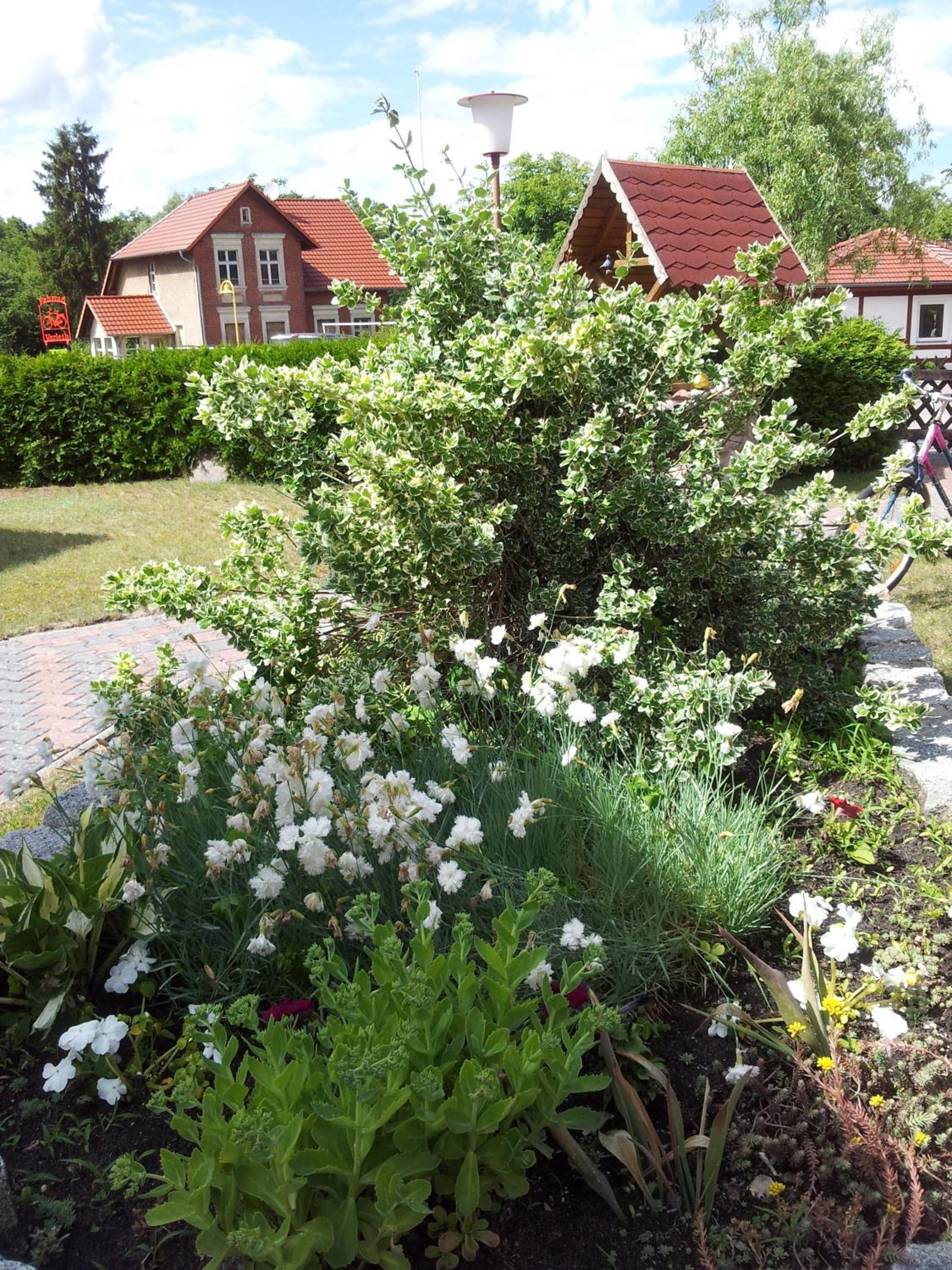 Ferienwohnungen Charlottenhof - Property Image 164
