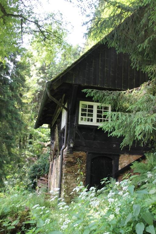 Black Forest House