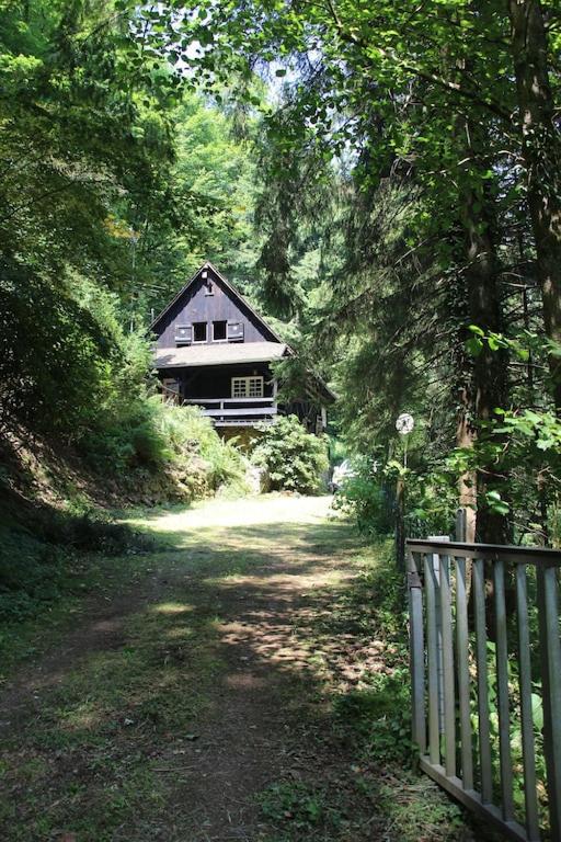 Black Forest House