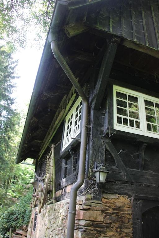 Black Forest House