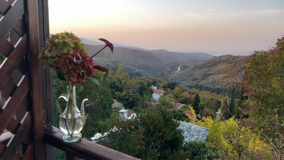 Milies Historic Chalet Pelion view 4
