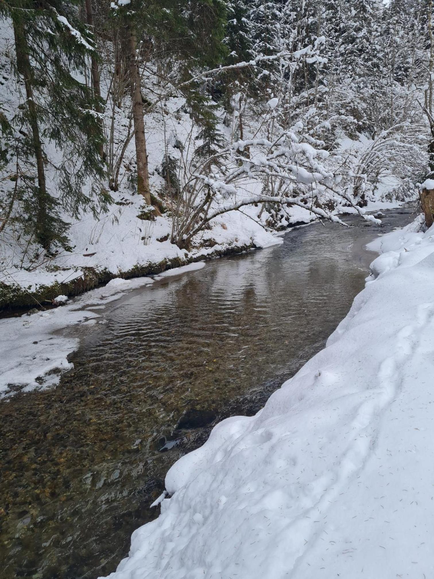 Chalet am Bach