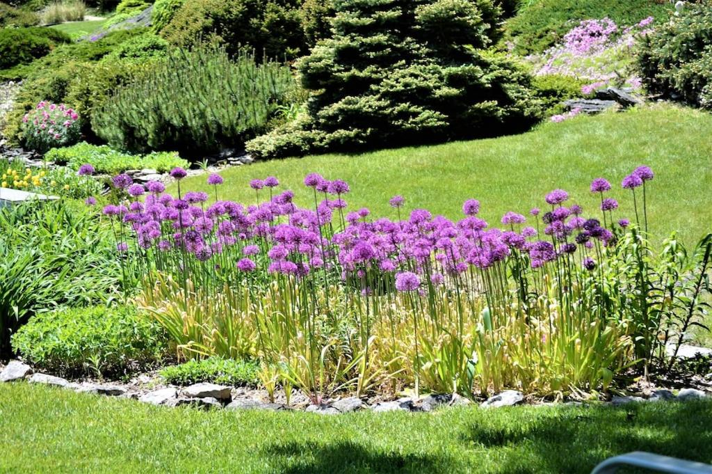 Carraig Mor Cottage - Beautiful House, Amazing Garden, Downtown Baileys Harbor view 2