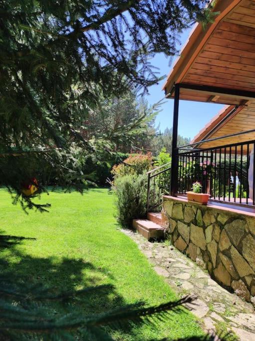 Photo 7