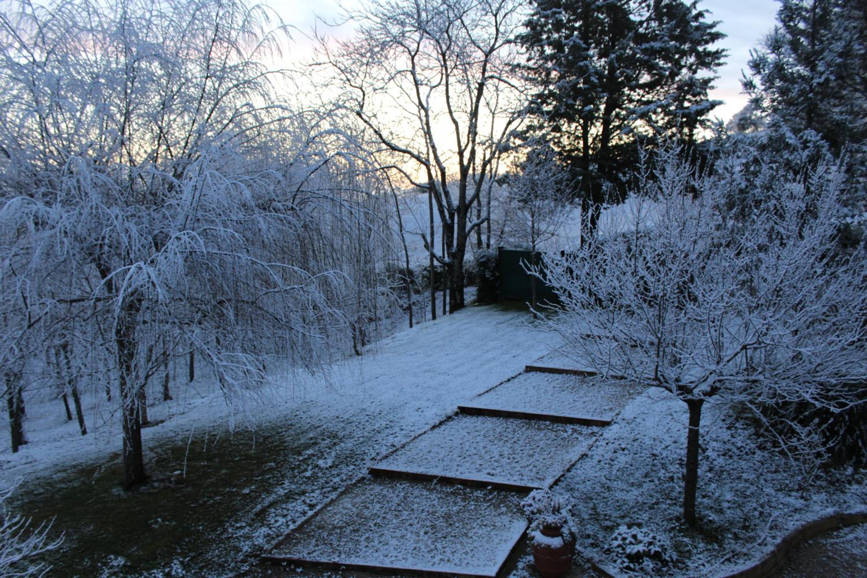 Photo 42