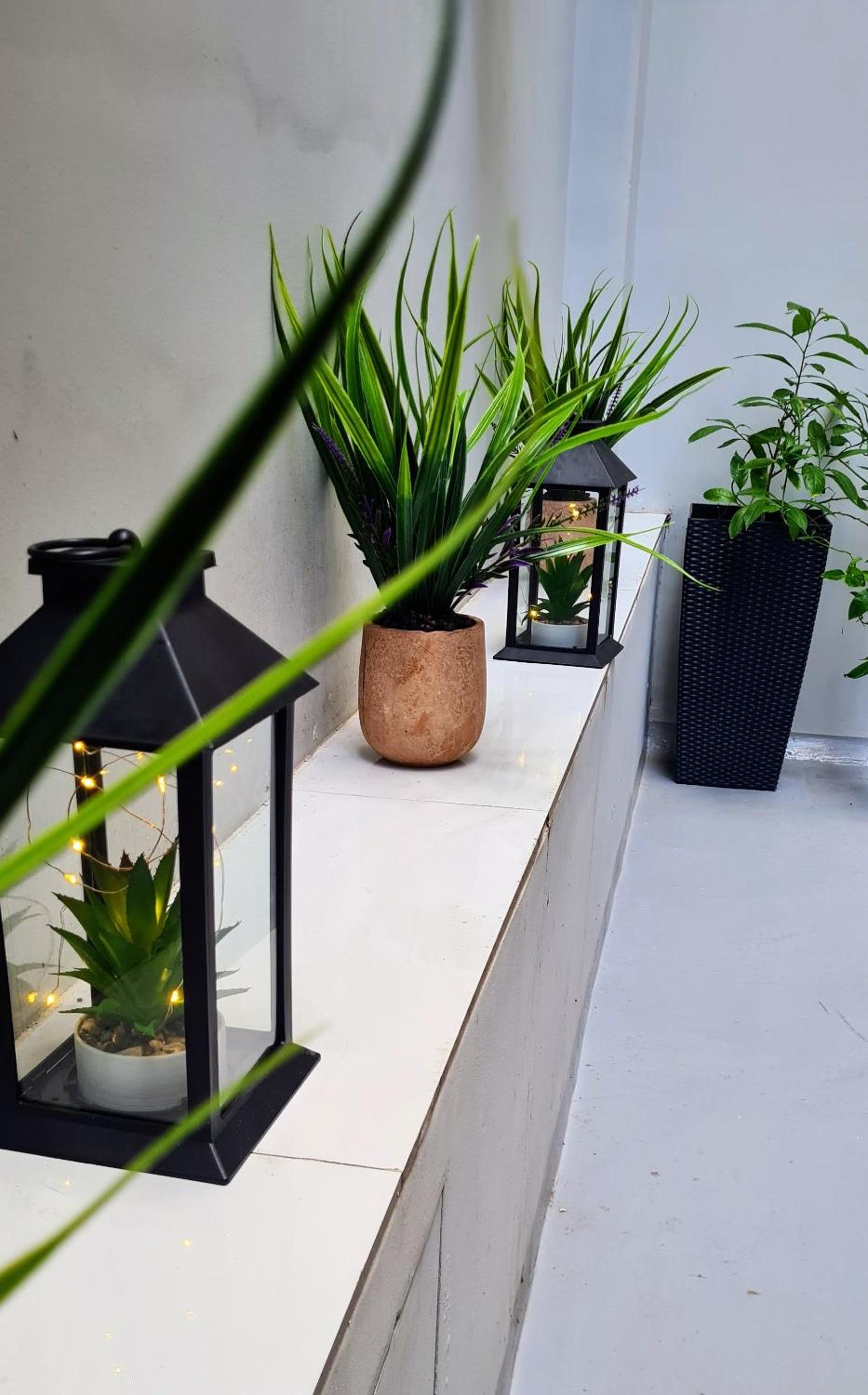 Historic Center Apartment 3