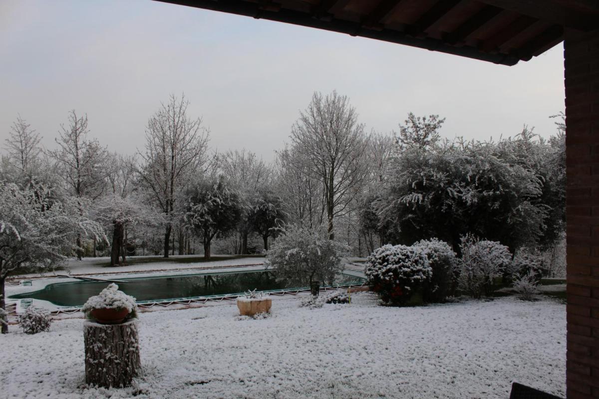 Photo 43