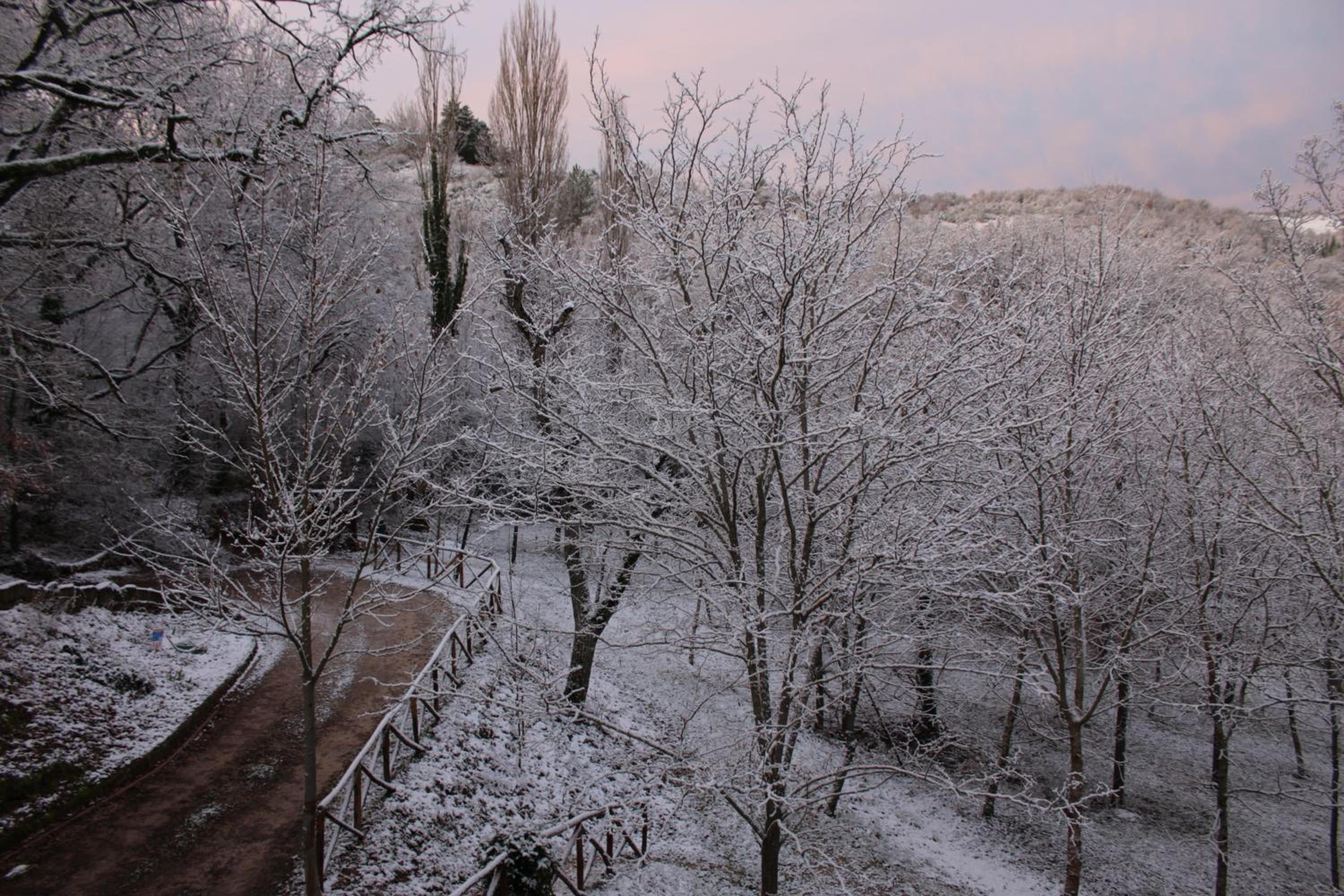 Photo 49