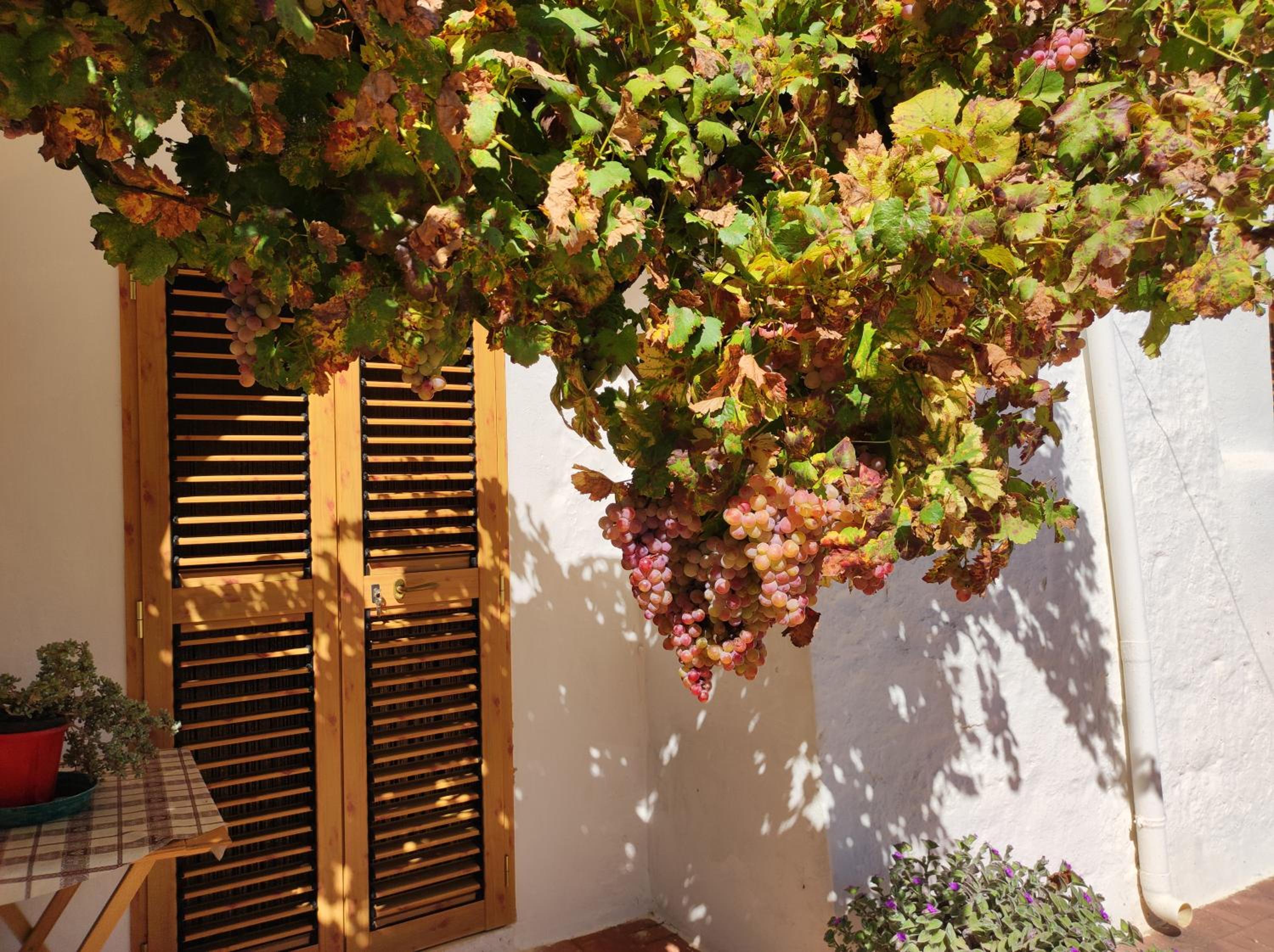 Trullo Nonna Rosa view 3