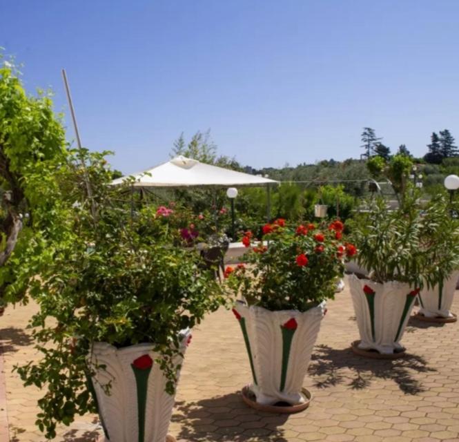 Trullo Nonna Rosa view 2