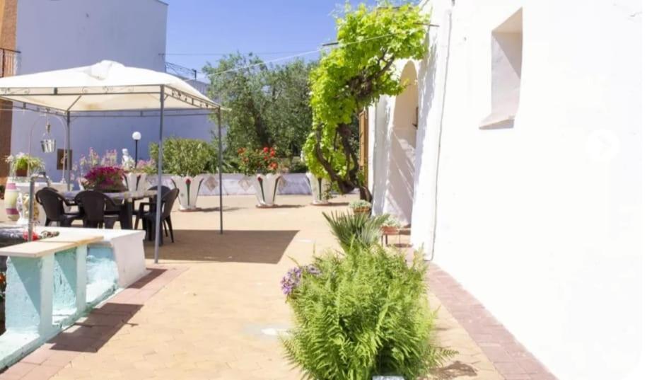 Trullo Nonna Rosa view 4