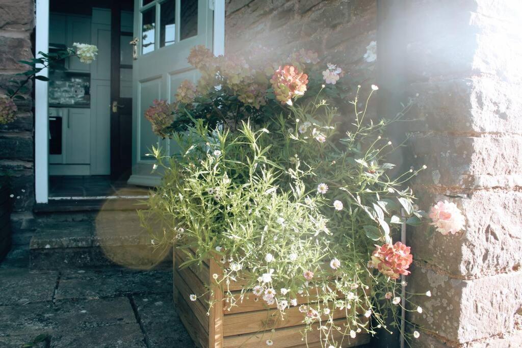 Photo 51