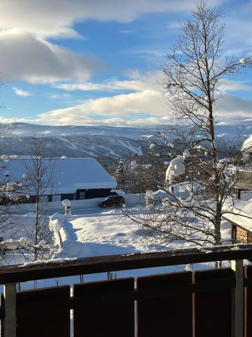 Bjelbølens stjernely view 4