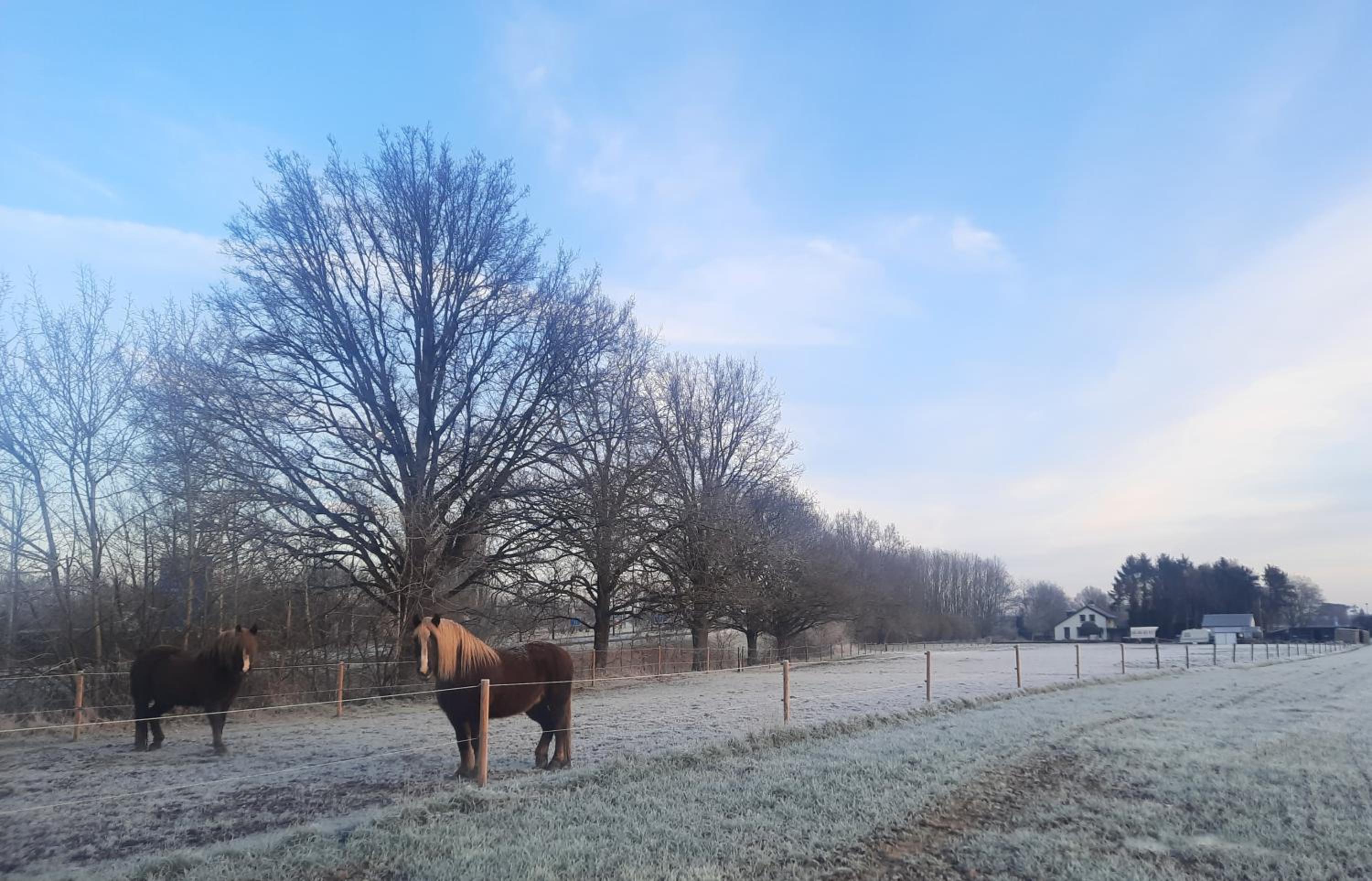 Gastenverblijf de Vense Weide