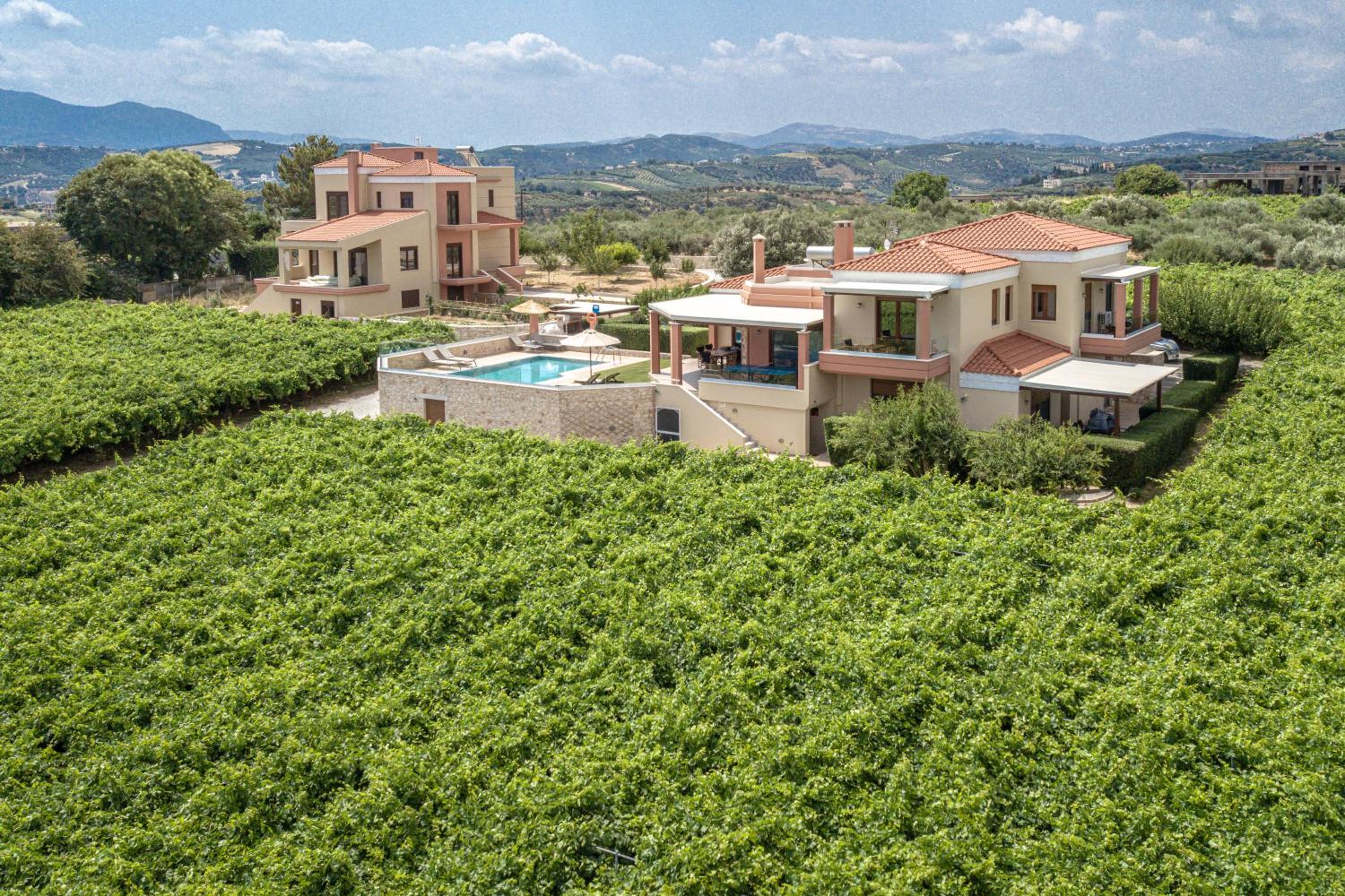 Cretan Vineyard Hill Villa 2 view 4