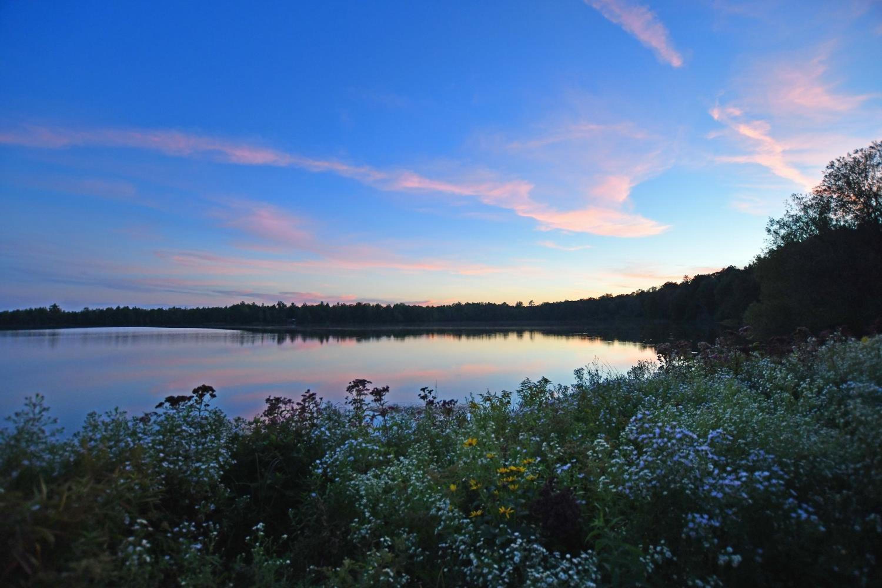 Scenic & Serene Lakefront Cottage With Wood Stove view 4
