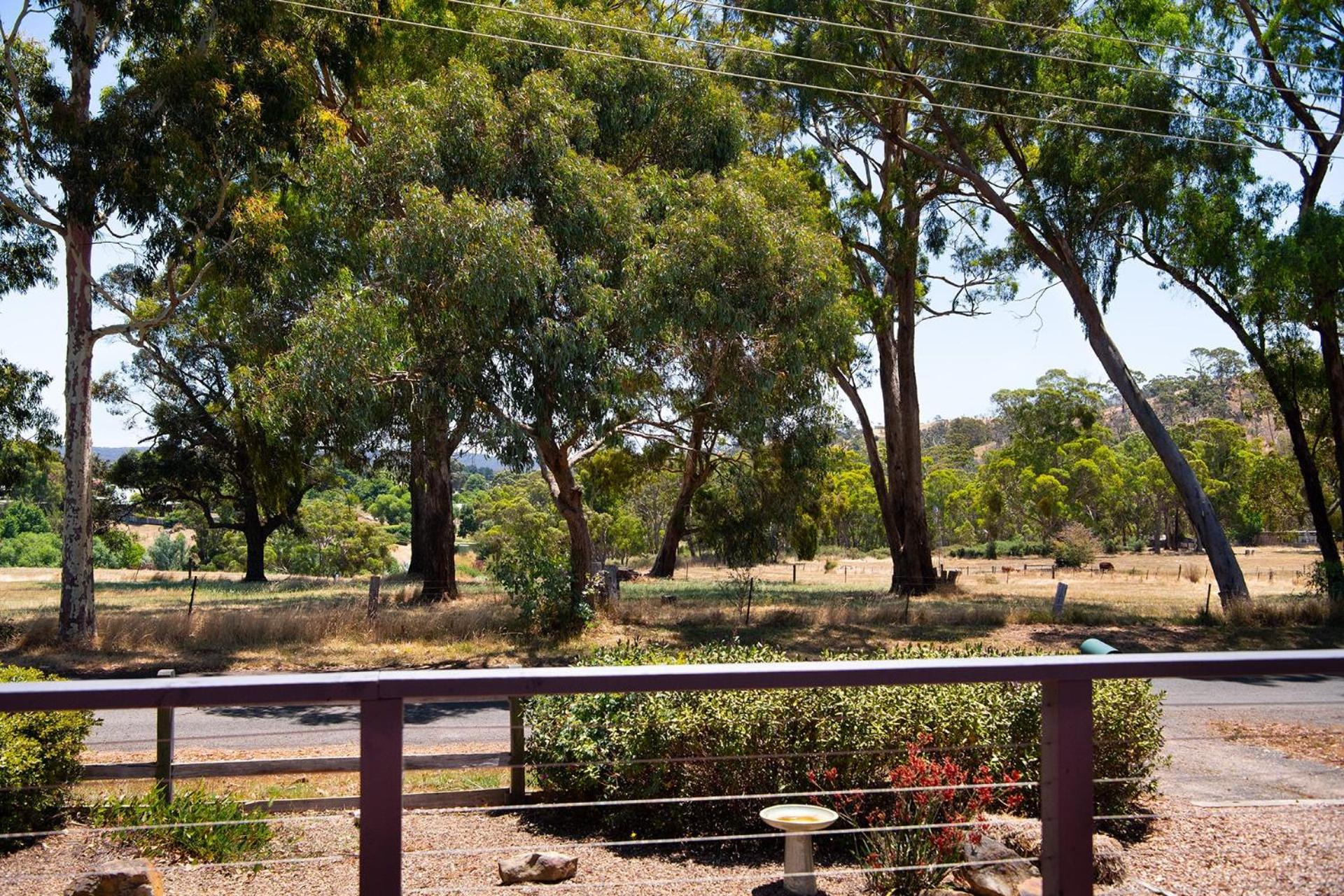 The Bach- dog friendly with lovely bush views