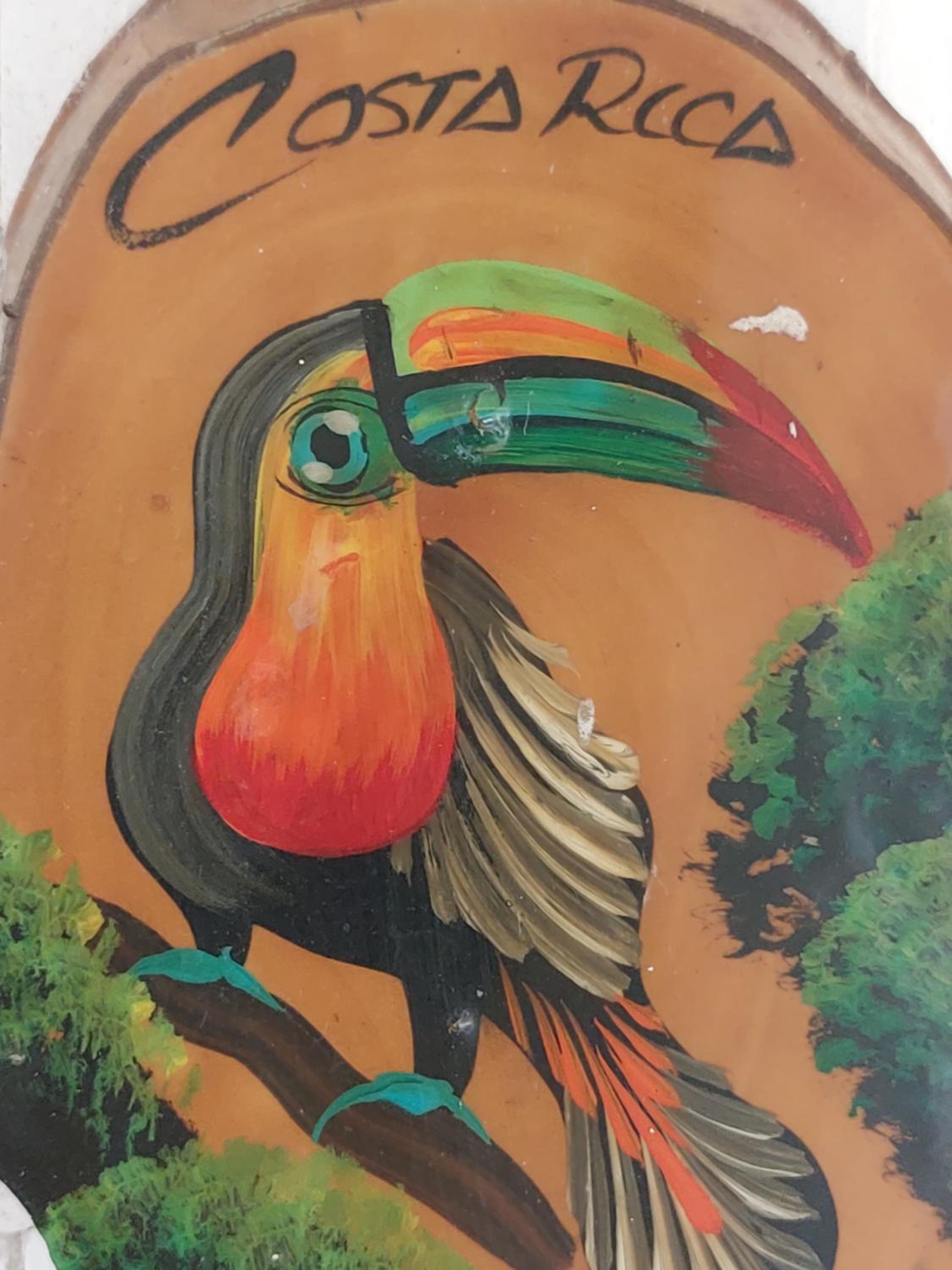 Casa Mapache