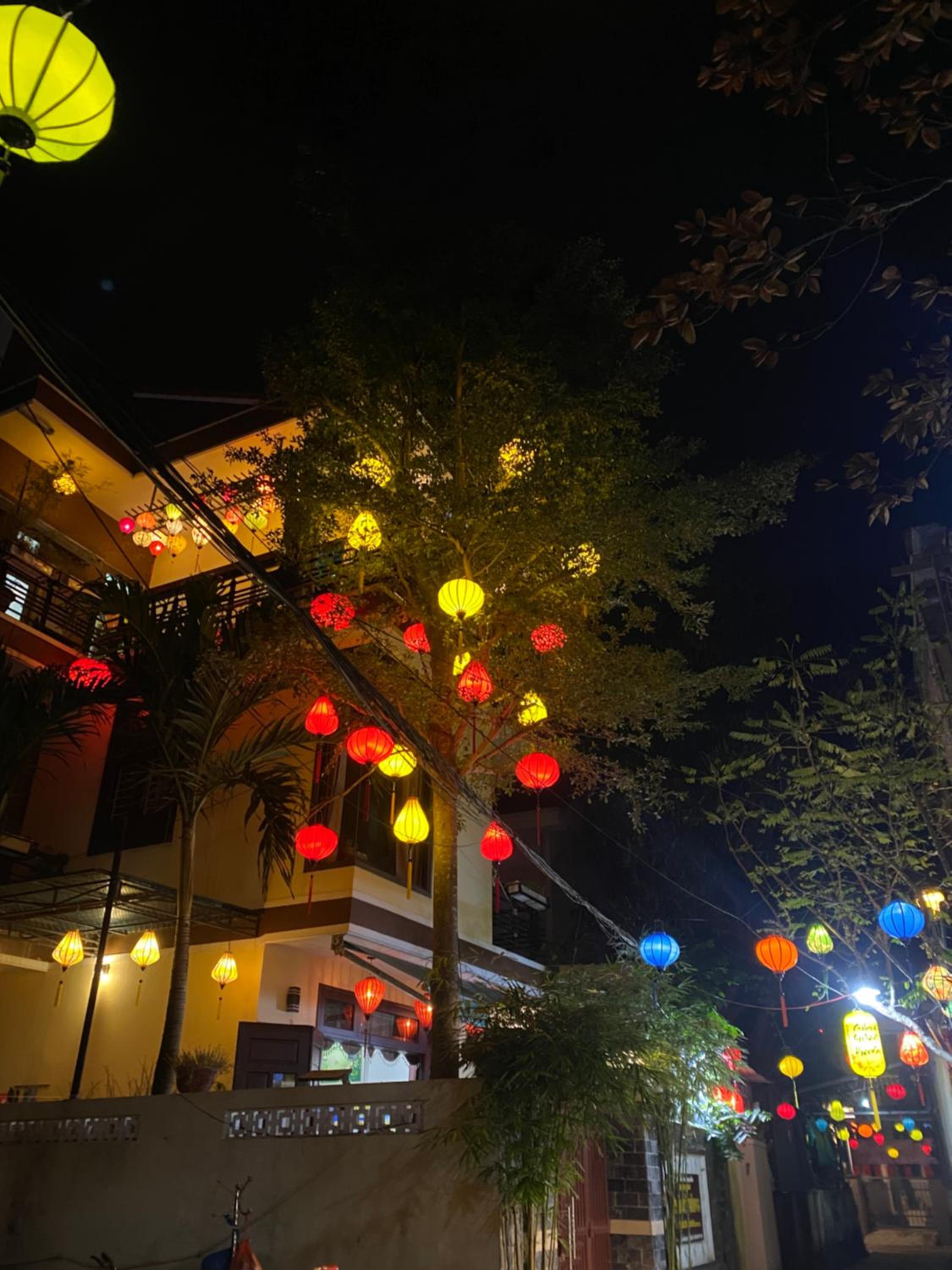 Golden Soulmate homestay view 5
