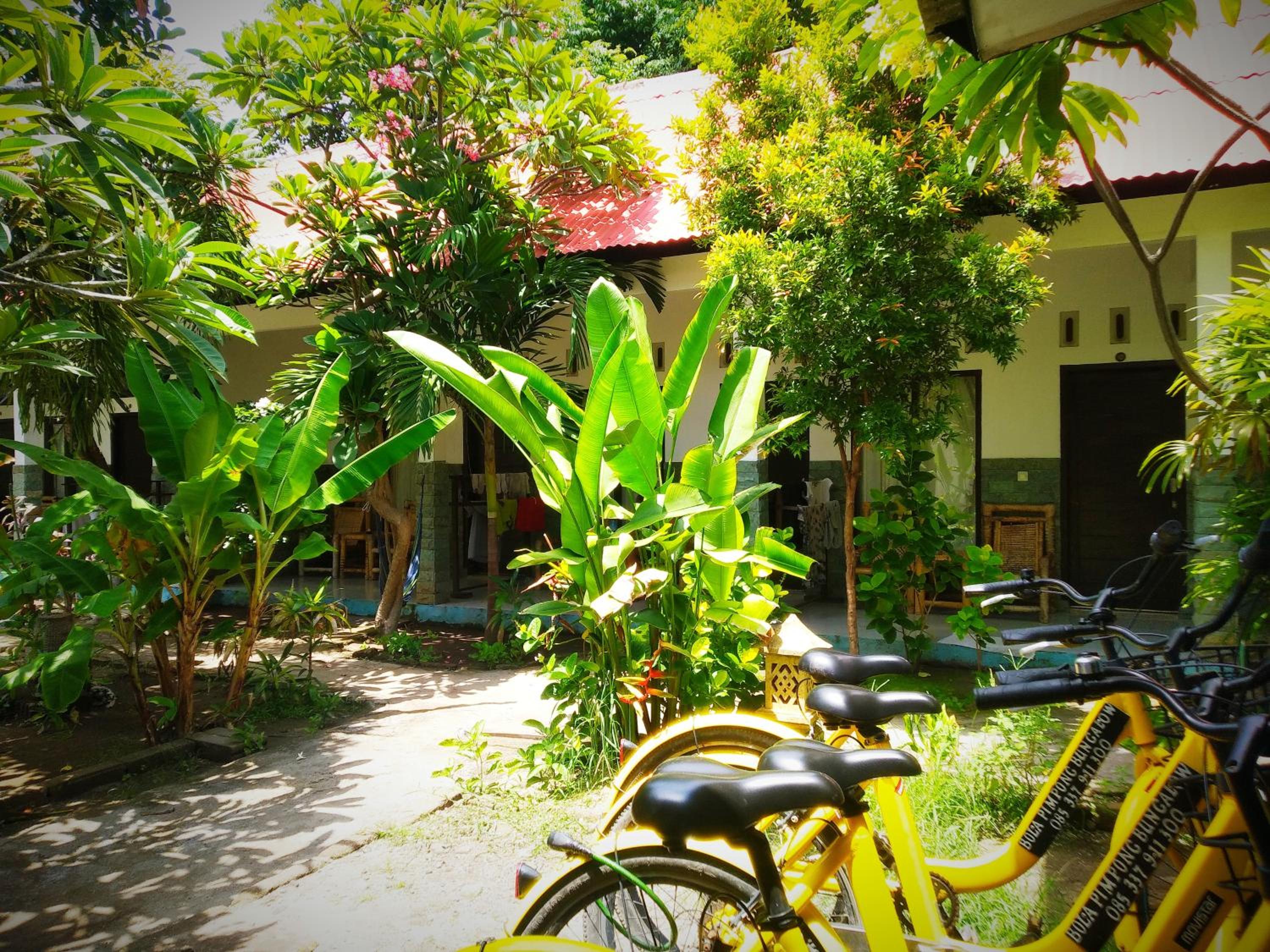 Photo 23