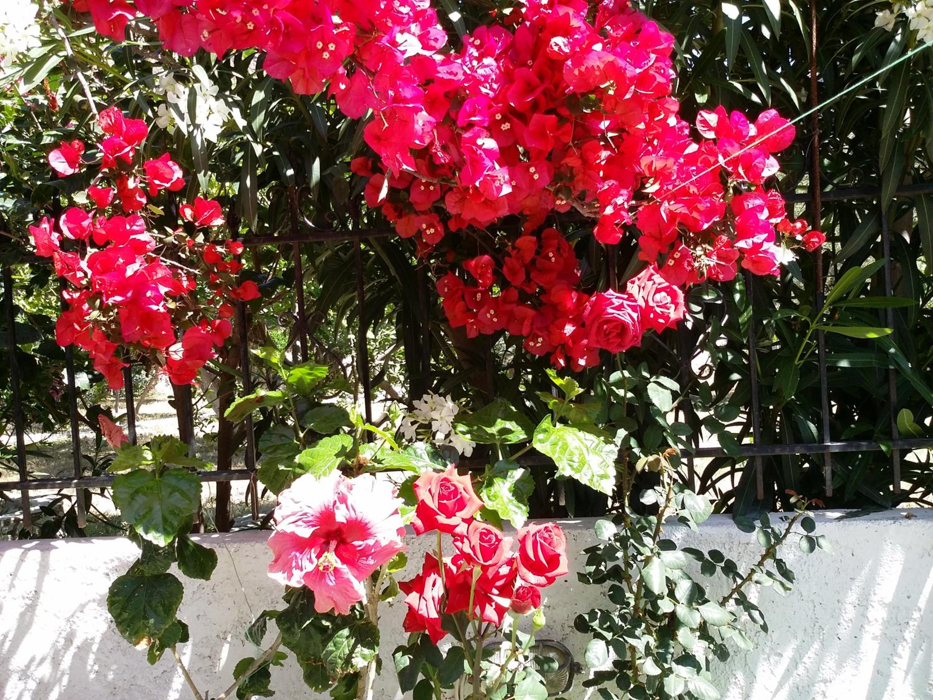 Beautiful Cottage in S West Crete near the sea photo 3