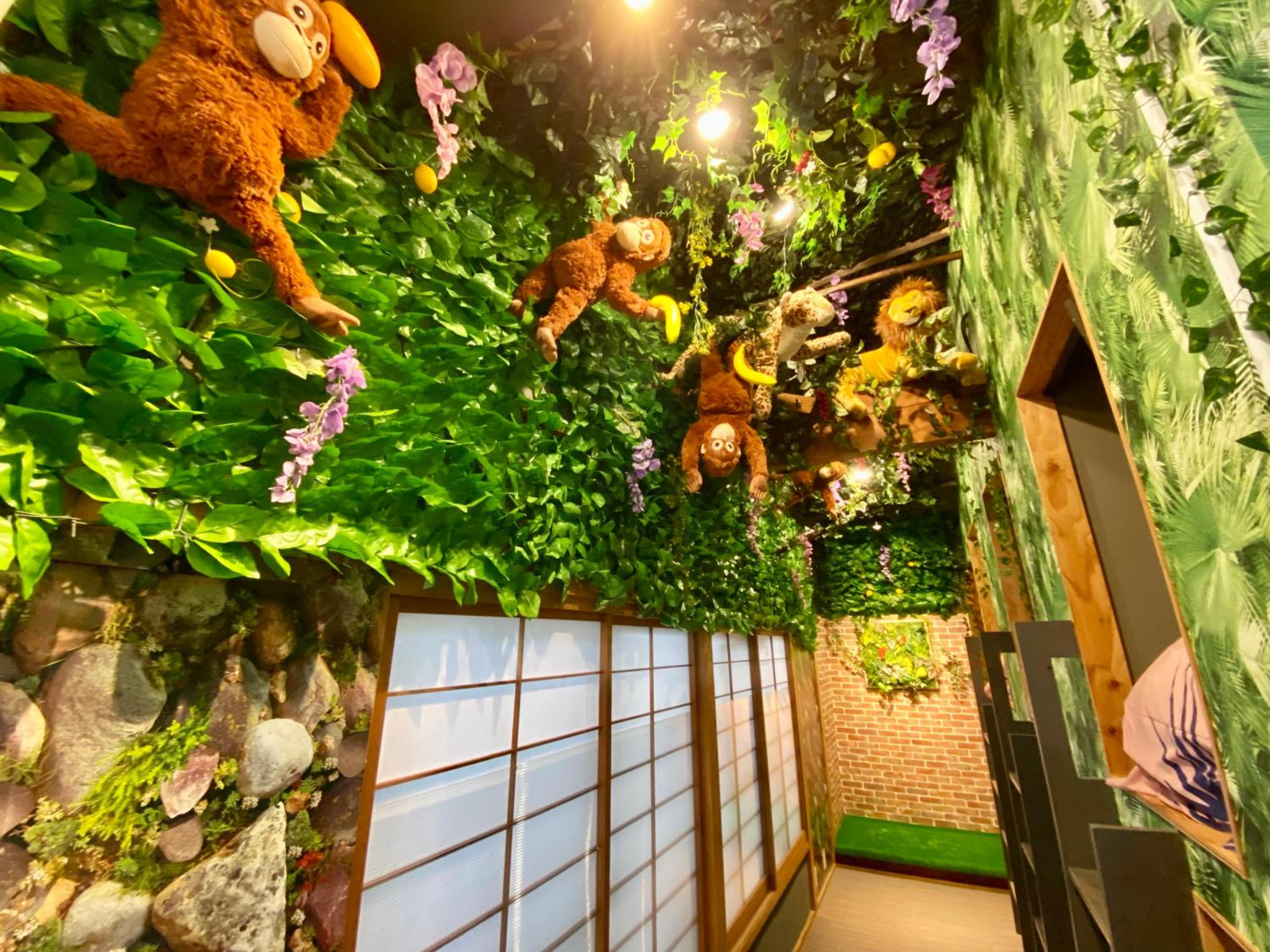 Hotel Jungle fun fun