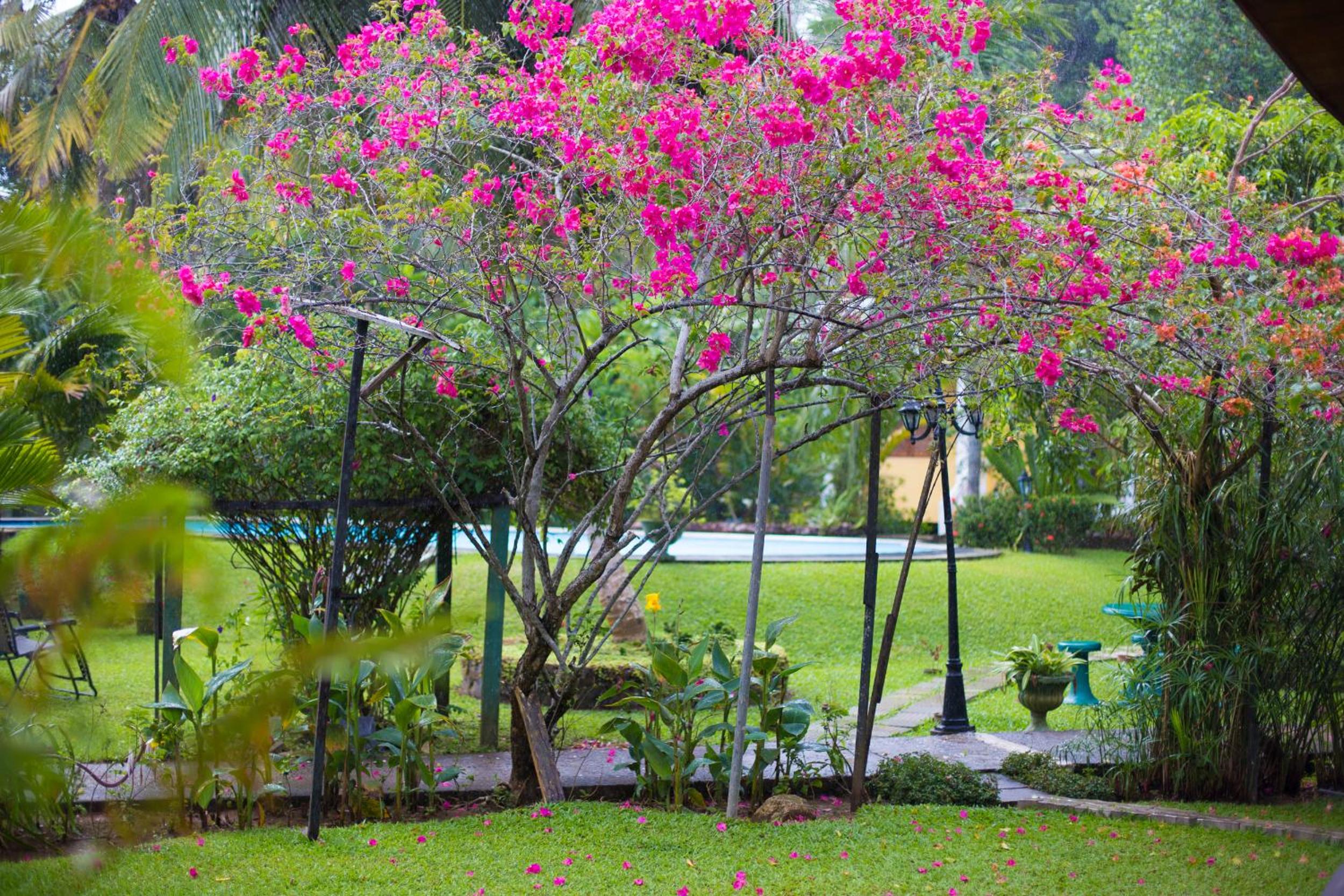 Leijay Garden Retreat