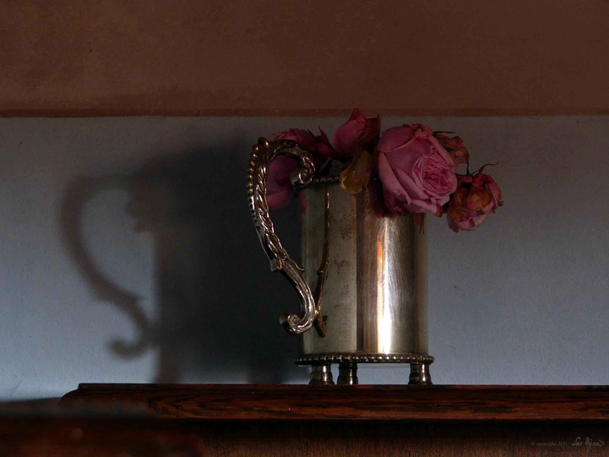 La Vigna B&B photo 4