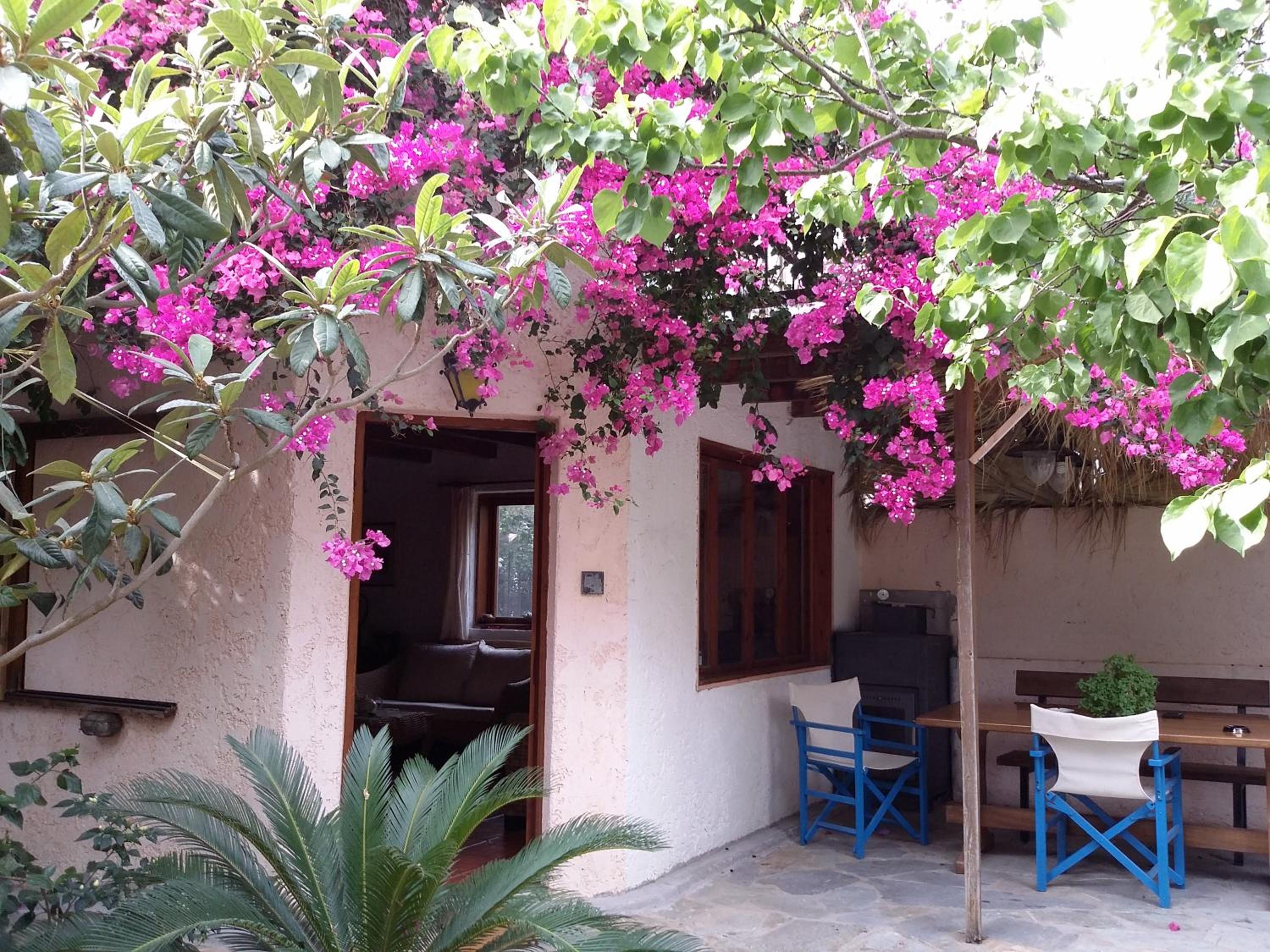 Exclusive Cottage in S West Crete in a quiet olive grove near the sea photo 2