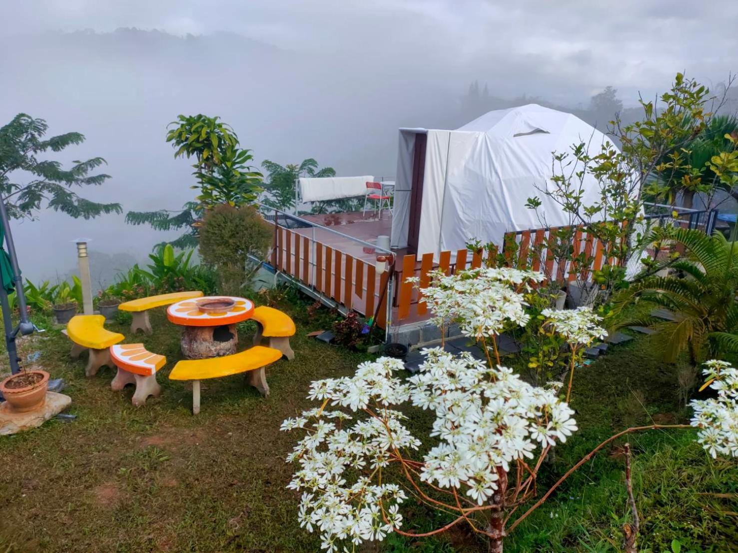 Khao Kho Tree Top