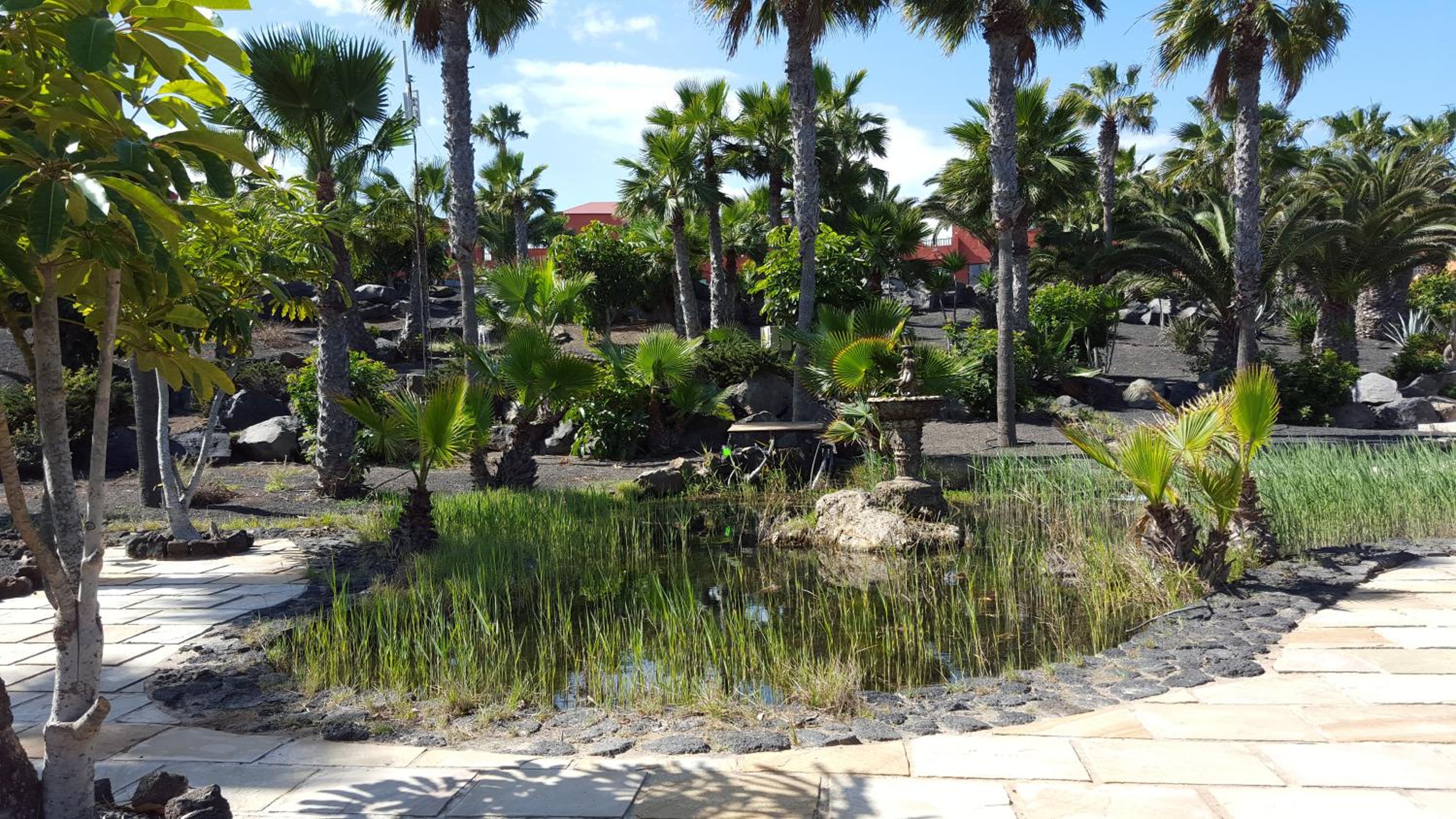 Oasis Royal 2 Dormitorios 3 Piscinas-fibra ptica