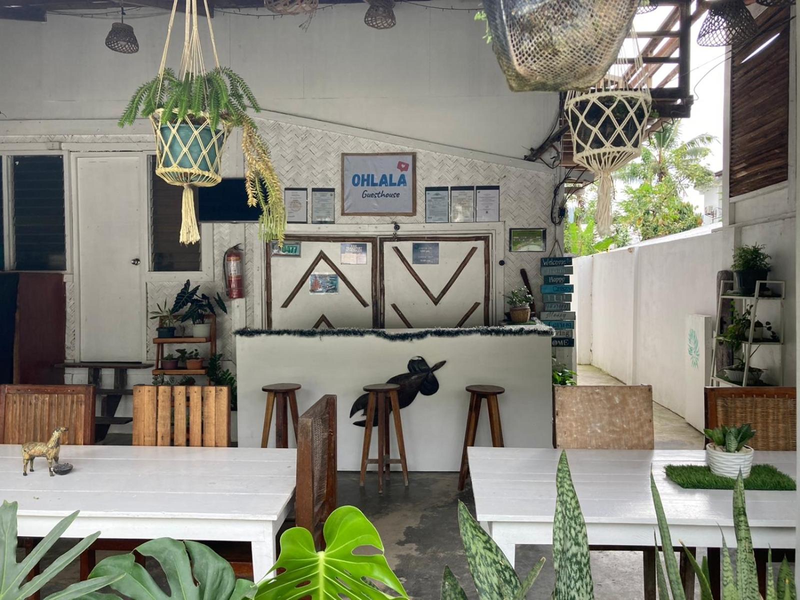Tribal Xperience Guesthouse
