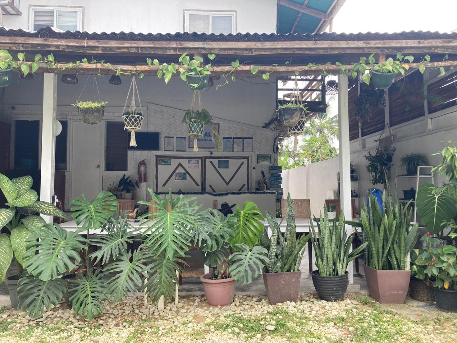 Tribal Xperience Guesthouse