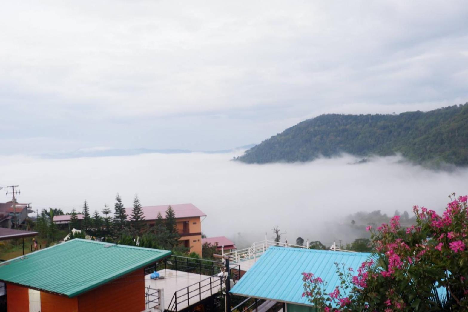 Khao Kho Tree Top