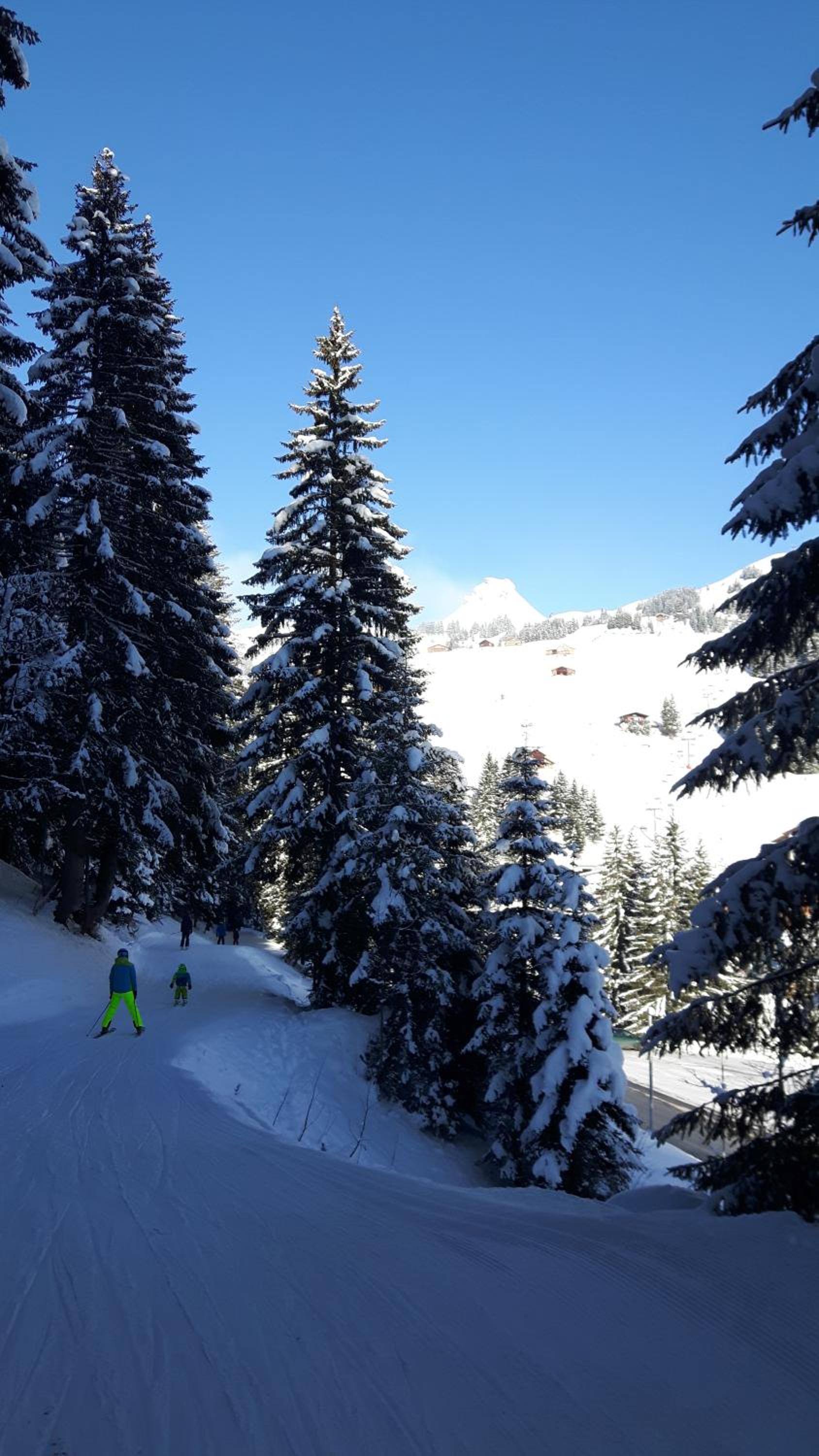 Dorfgasthof Adler