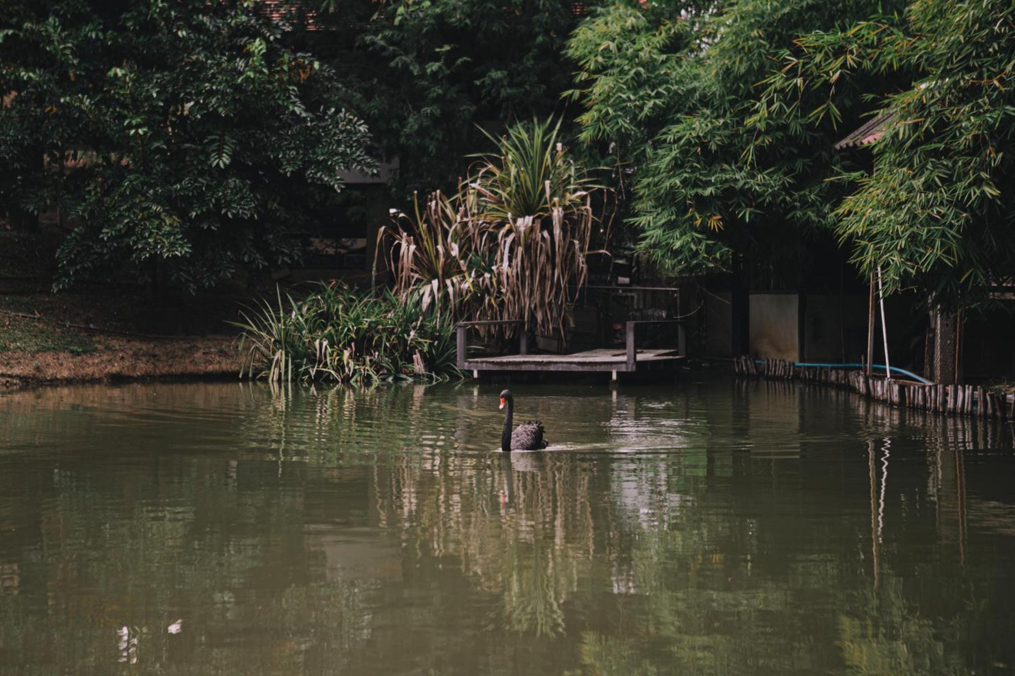 U Maerim Chiangmai - อยู่แม่ริม เชียงใหม่